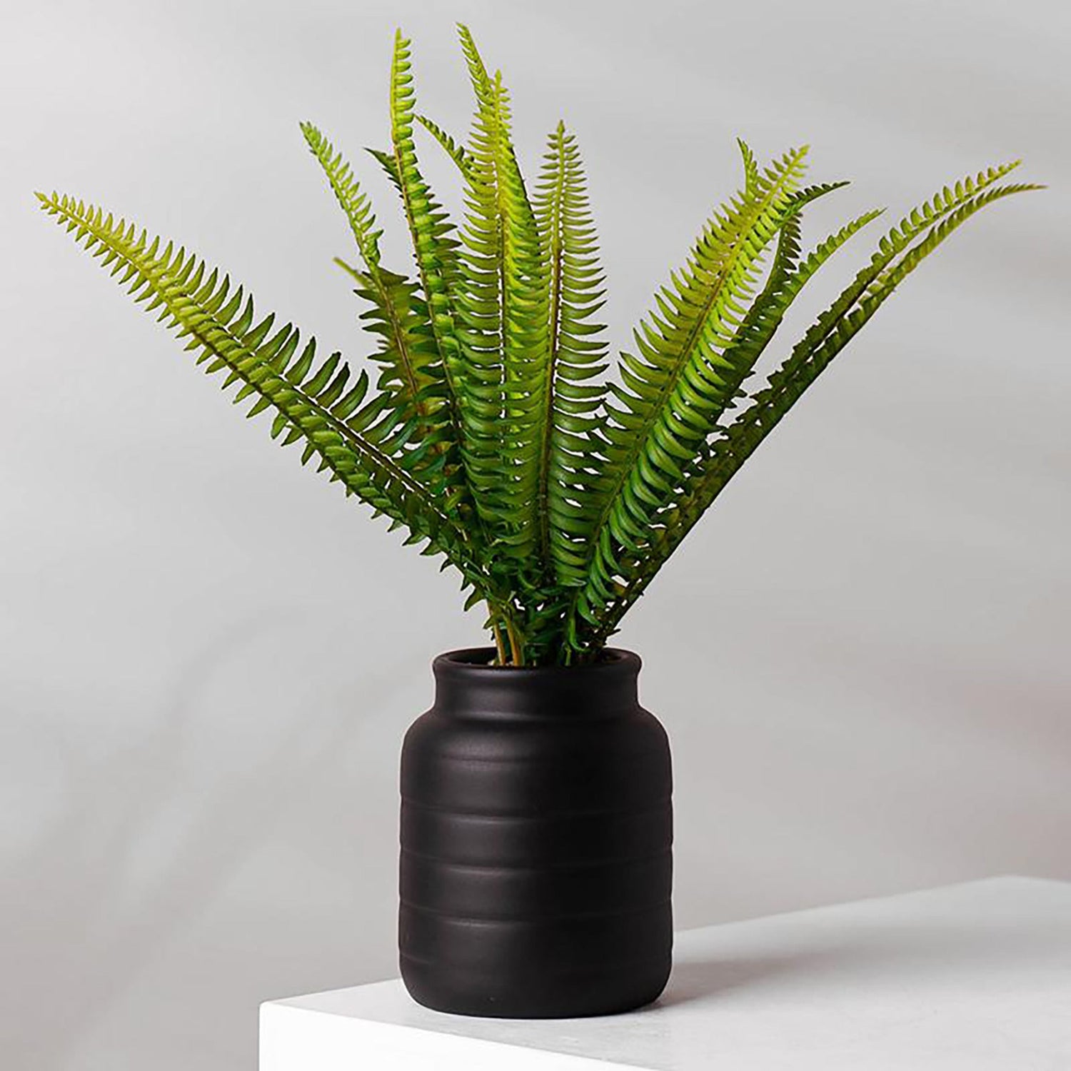 All Vases