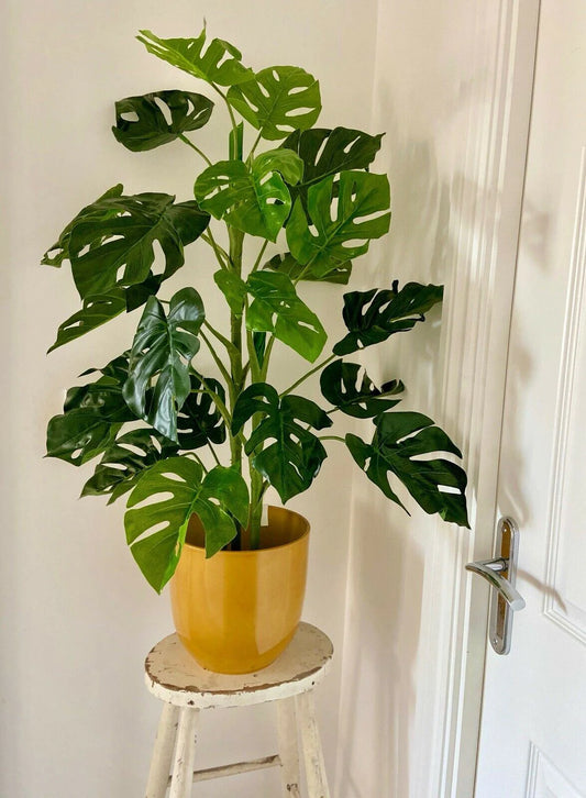 Millie the Artificial Monstera Tree