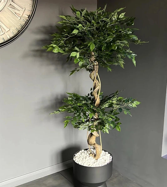 Jared the Artificial Japanese Ficus Tree