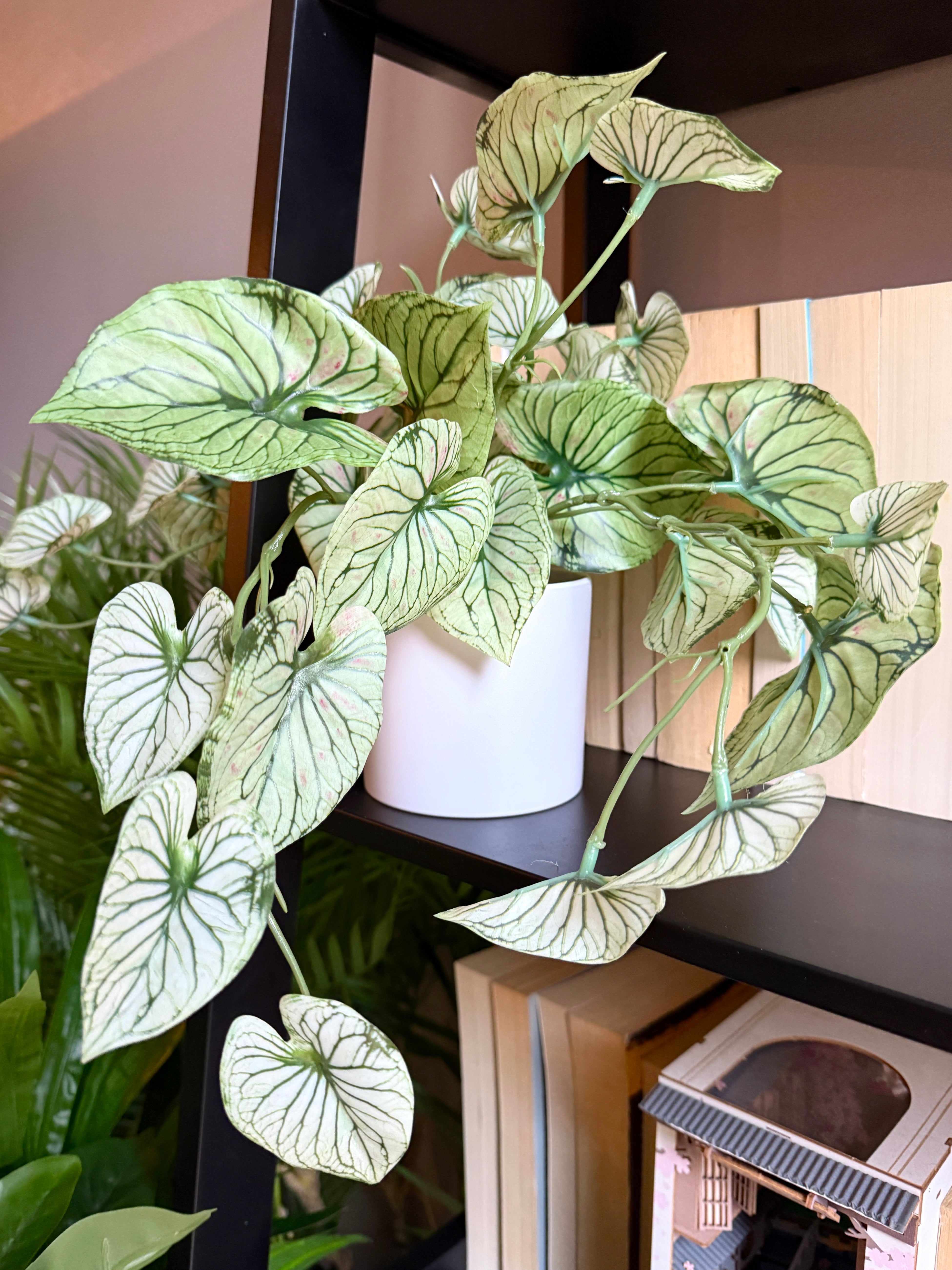 Front view of a Plantish artificial 
variegated alocasia in a white pot, showcasing its striking green and white patterned leaves, placed on top of a black bookshelf.
