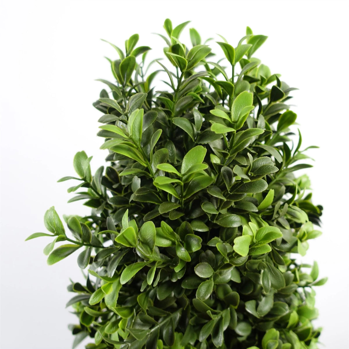 Barnaby the Artificial Spiral Buxus Topiary Tree
