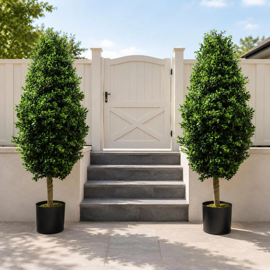 Bellamy the Artificial Buxus Boxwood Tree