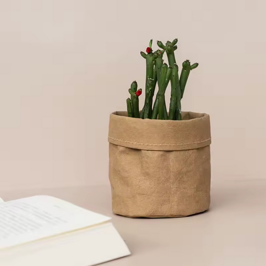 The Plantish Brown Kraft Paper Plant Pot  on a beige surface with a light beige background alongside a book. There is a green cactus in the pot.


