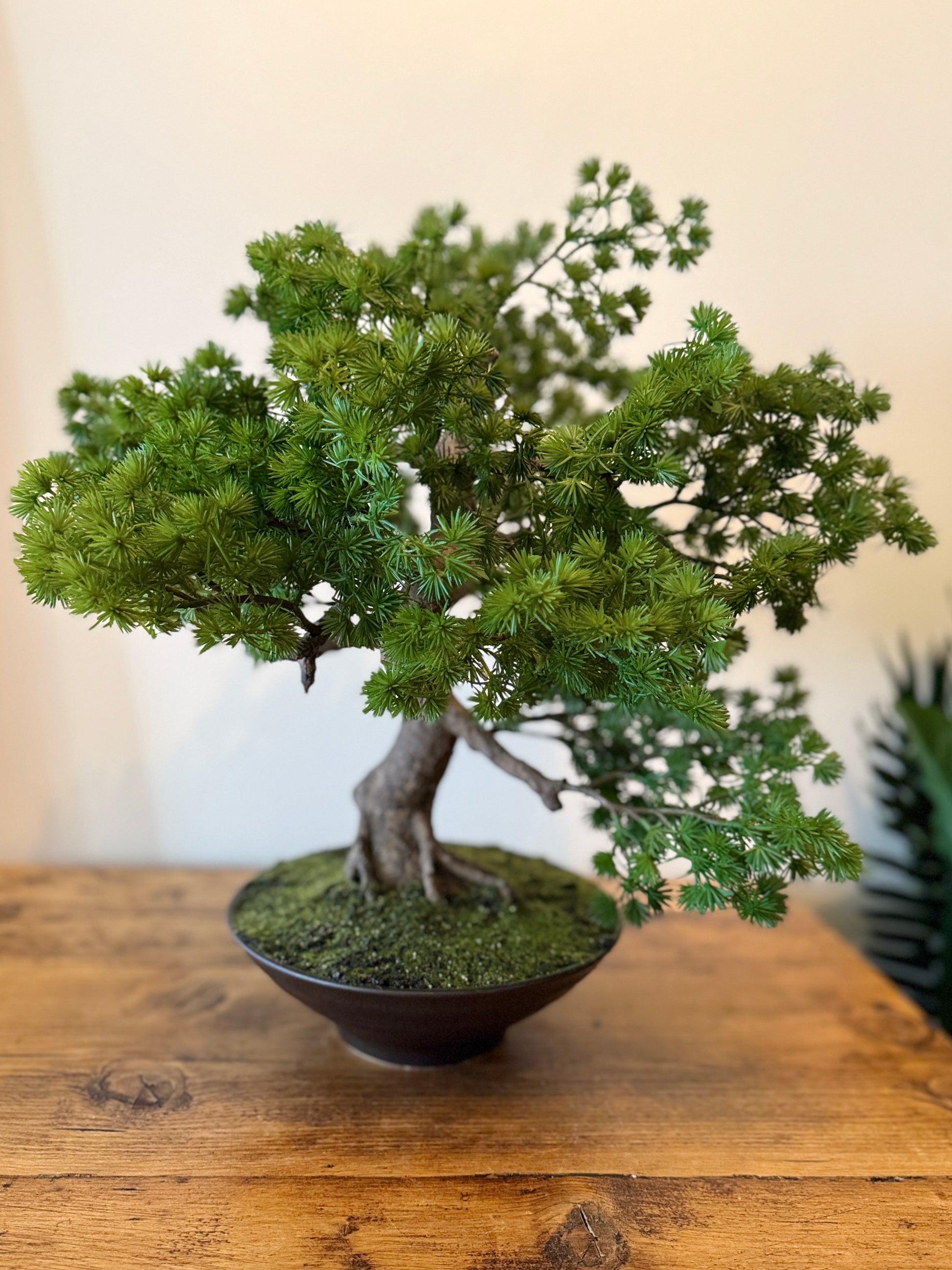 Back view of a Plantish premium artificial bonsai tree with detailed branches and leaves, in a ceramic pot with a moss-covered base.