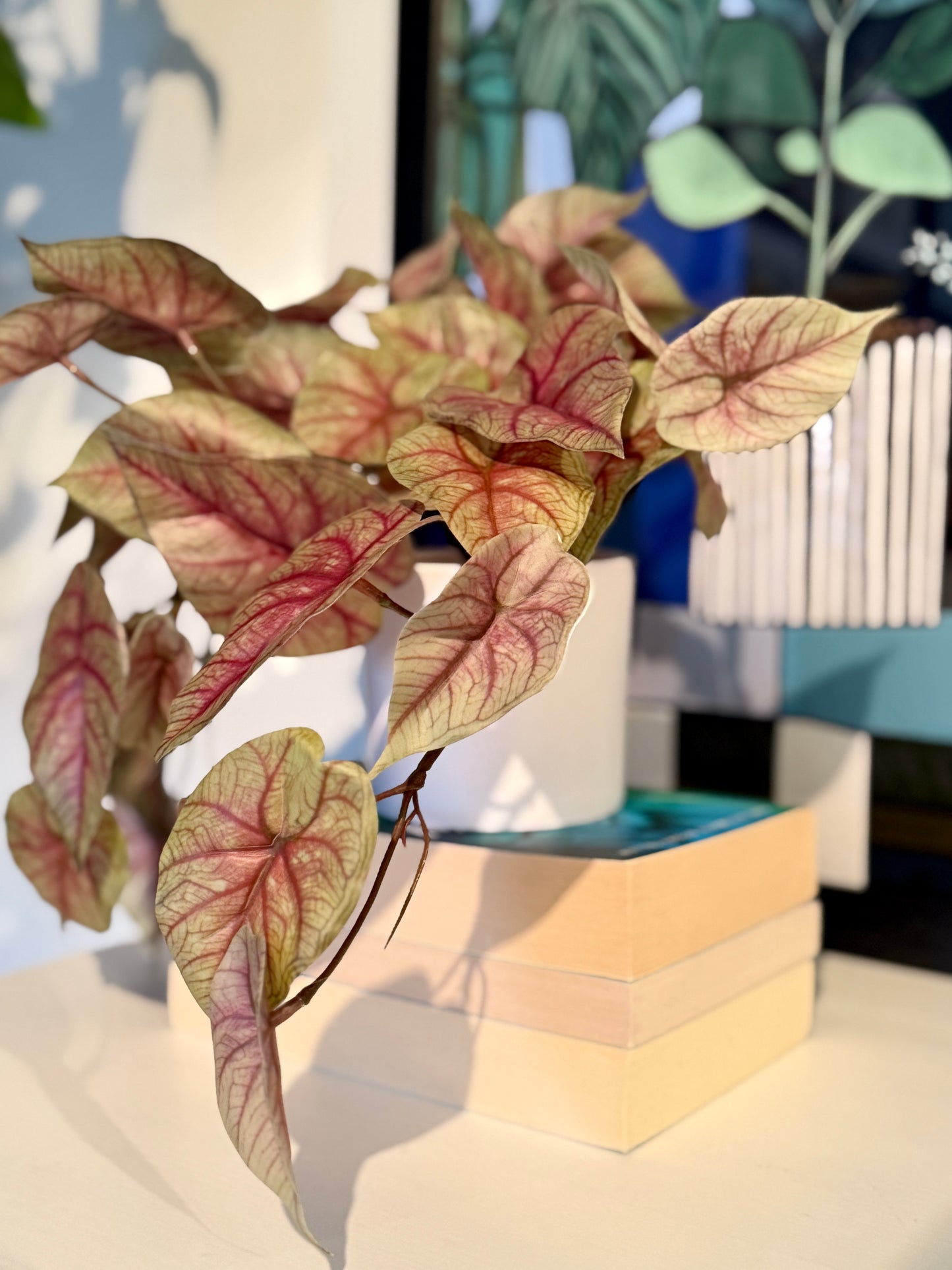 Close up of a Plantish artificial pink caladium with vibrant pink and green leaves, placed on top of some books on a white dresser in a smooth white pot.