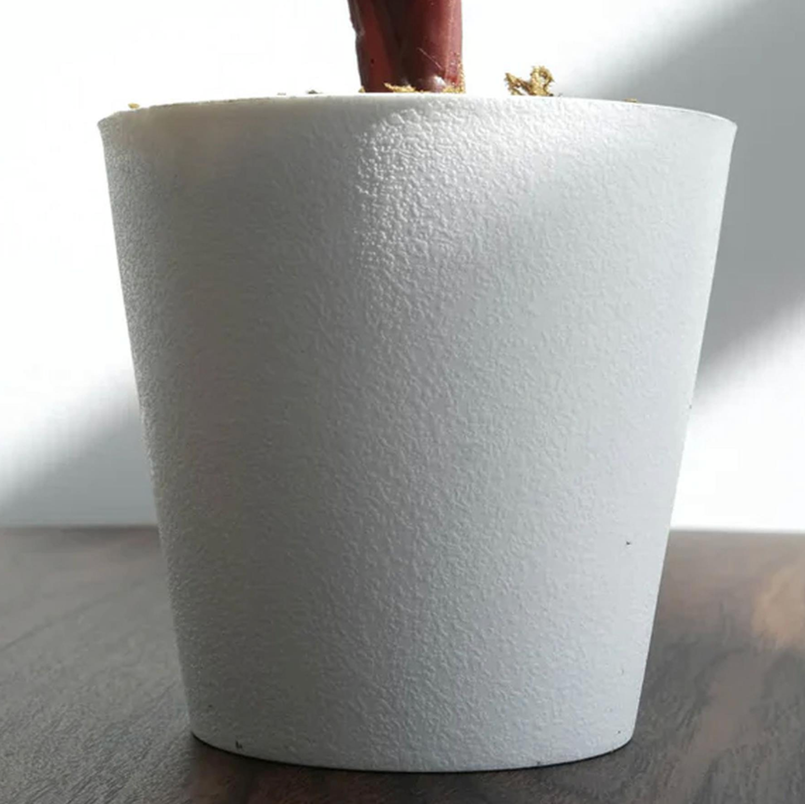 A close up of the white ceramic effect Plantish Carrie the Artificial Calathea Veitchiane plant, as well as the red base of the roots.