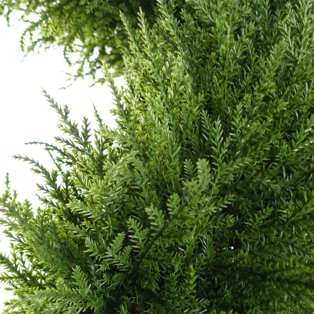 Carson the Artificial Spiral Cypress Tree