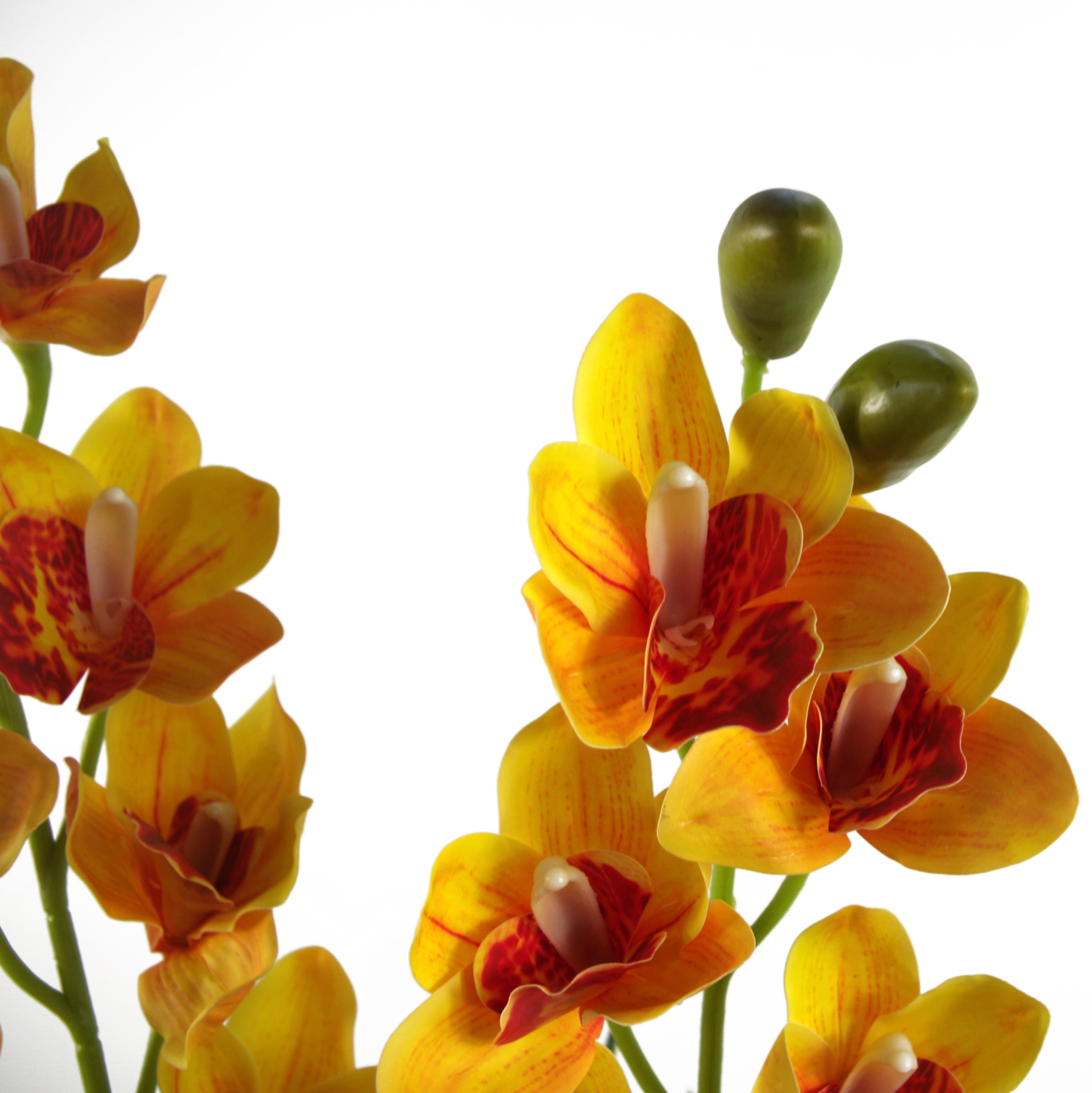 A close up of the Plantish Artificial Cymbidium Orchid, showing a close up of the yellow/orange petals and green stems against a white background. 