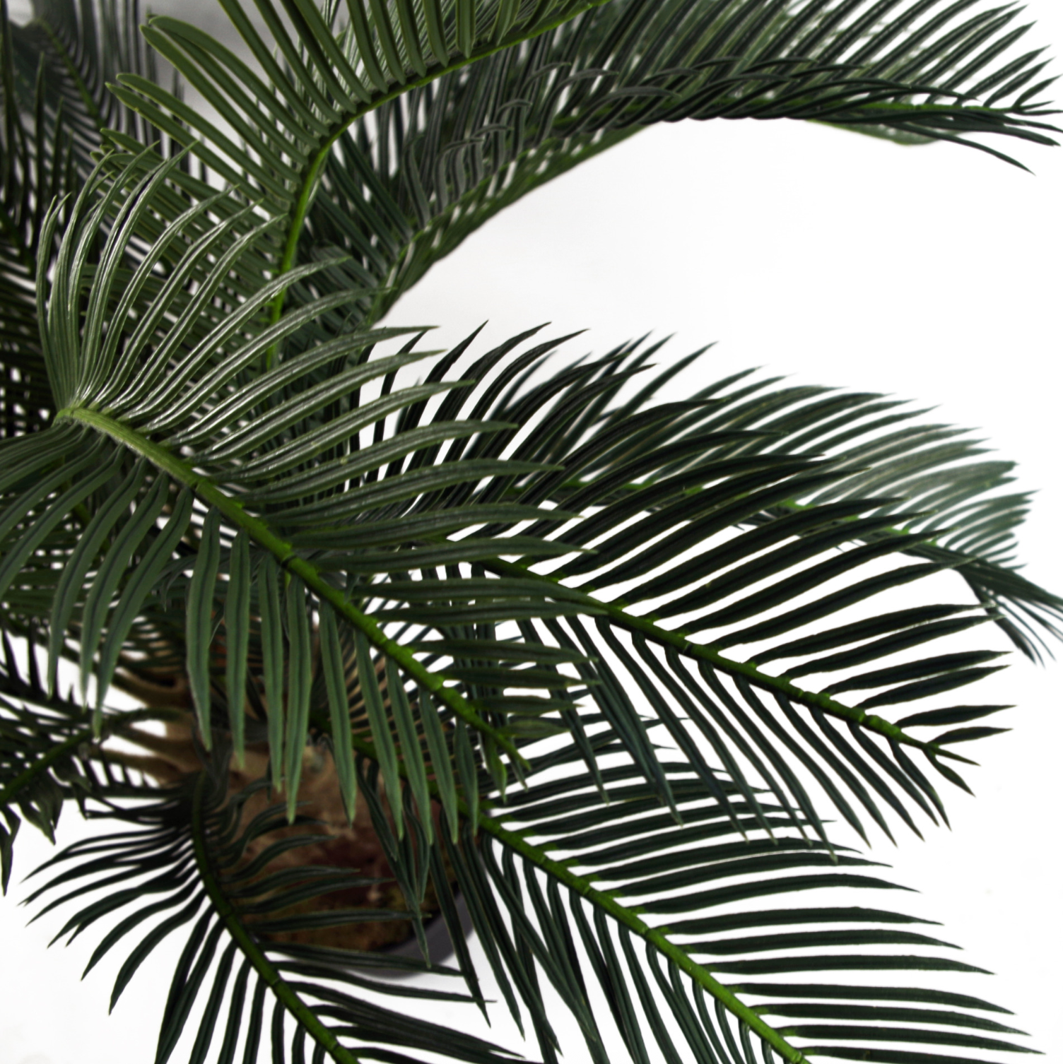 A close up of the green leaves and stem of the Plantish artificial cycas palm tree viewed from above, with the mossy pot and white background also visible. 