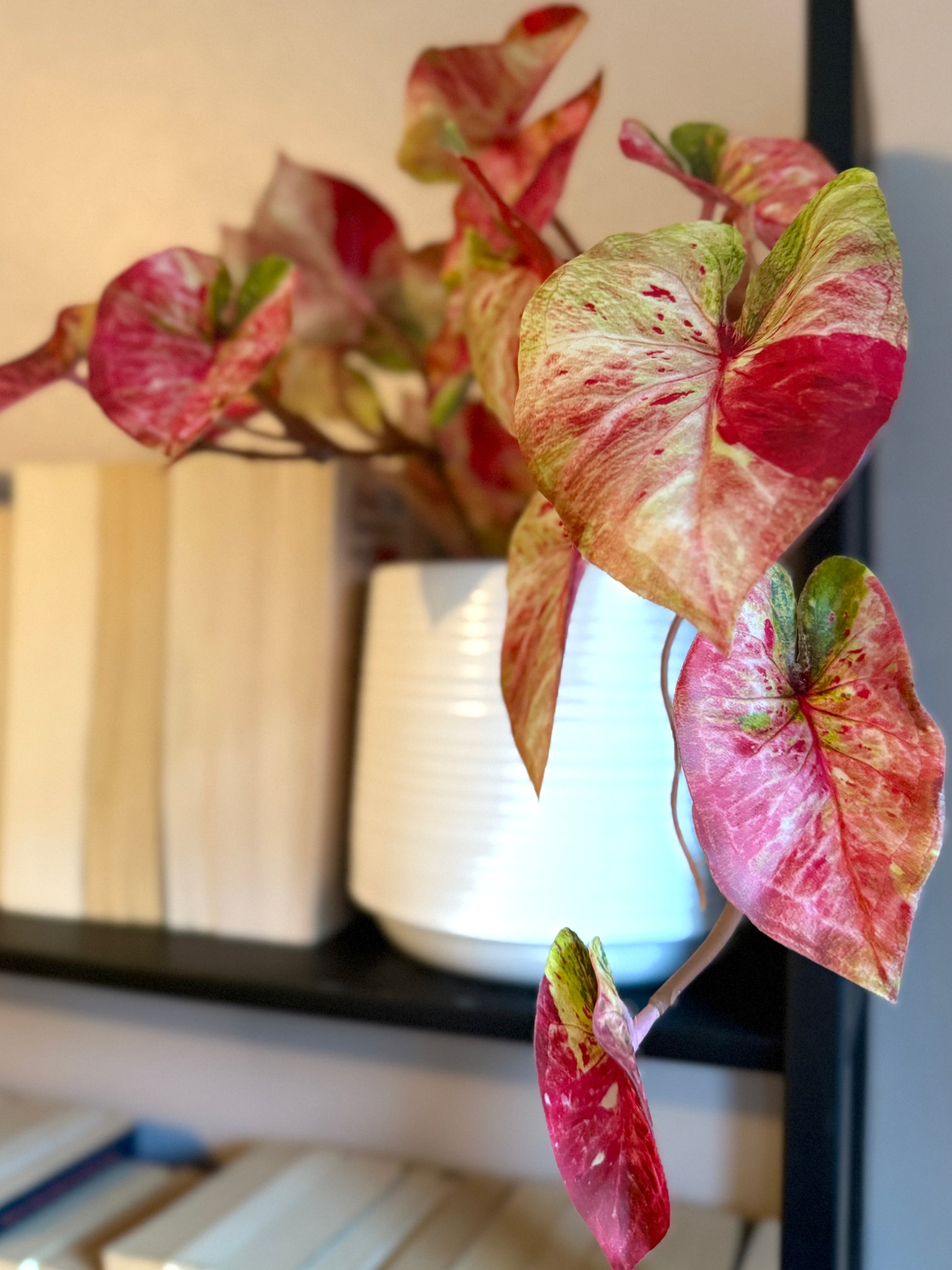 Back view of a Plantish artificial splash caladium, showcasing the vibrant pink, green and white leaves, and the textured white ridged pot, placed on top of a black bookcase.
