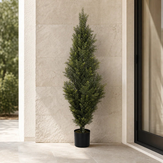 Cillian the Artificial Cypress Tree