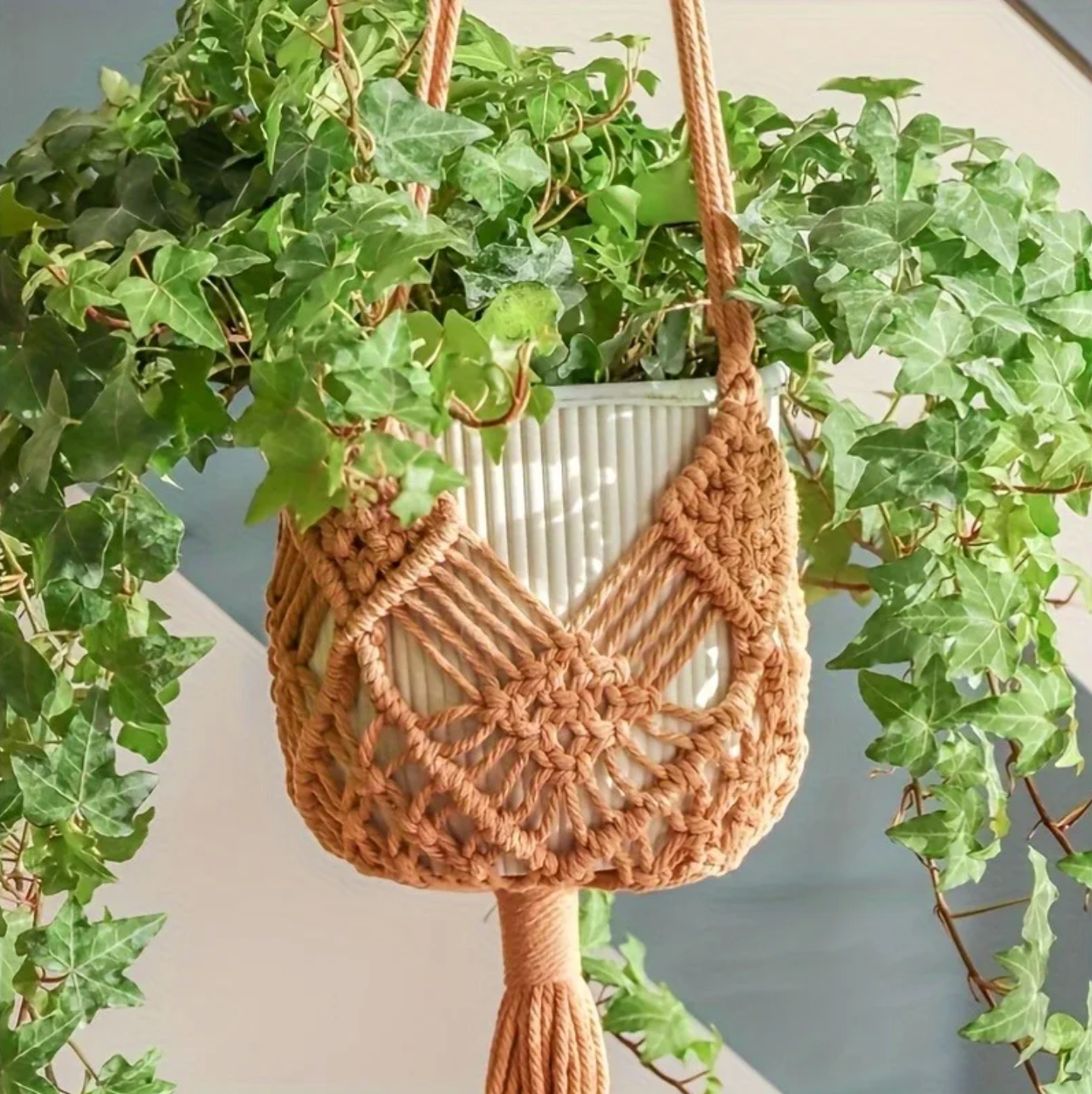 A close up of the Plantish Decorative Bohemian Macrame in brown, holding a green trailing plant in a white pot. It is in a sunlit room with grey walls.
