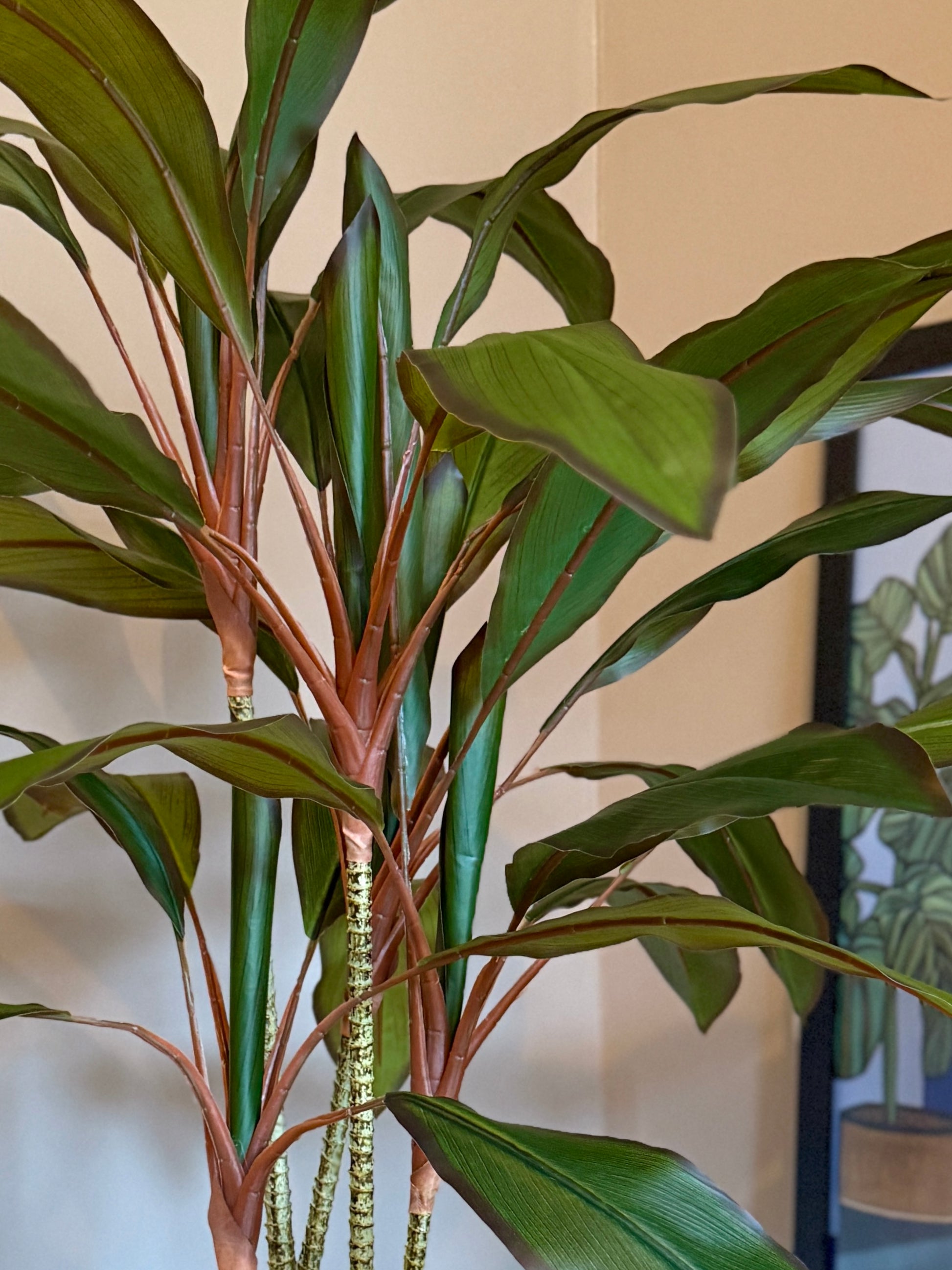 Close-up of the Plantish artificial Dracaena, focusing on the vivid and glossy green leaves, as well as its red stems.