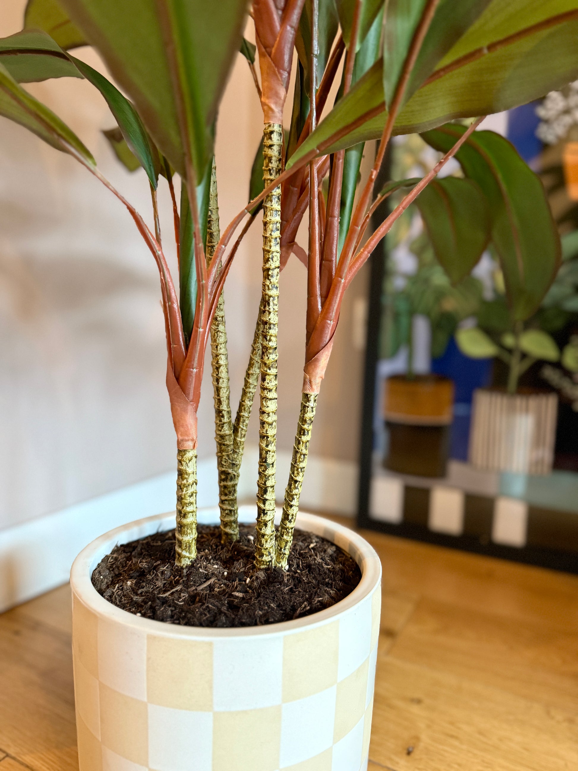 Detailed view of the Plantish artificial Dracaena, highlighting the ultra realistic multi-stemmed trunk with natural looking bark and slight texture. The plant is potted in soil. 
