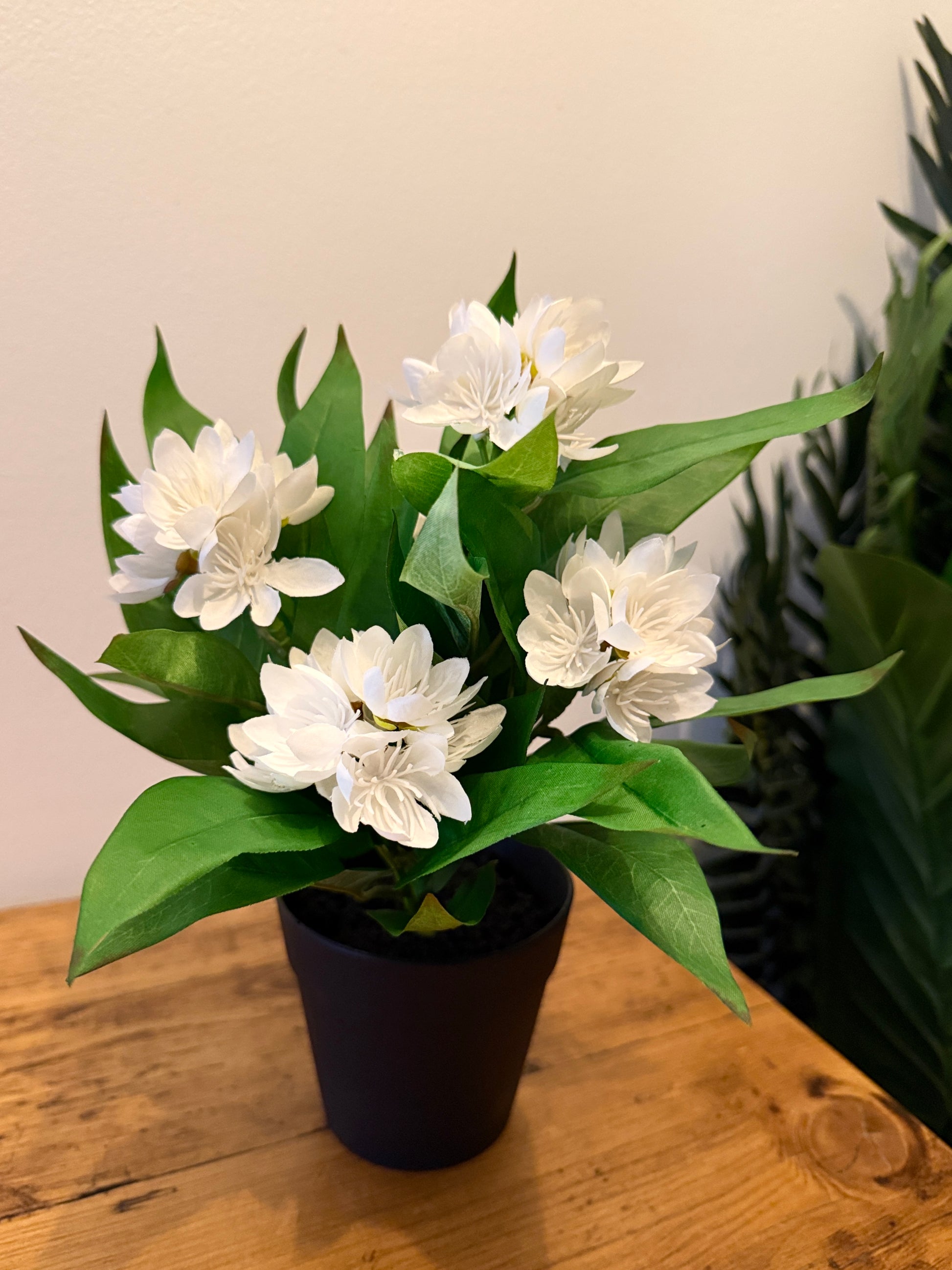 Front view of the Plantish artificial white Freesia in its black plastic pot.