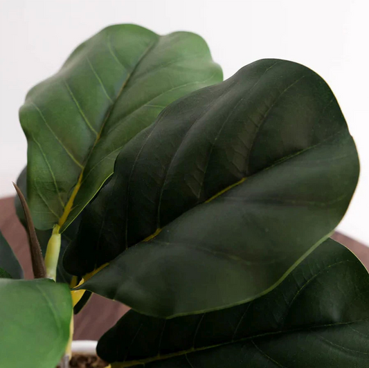 A close up of the Plantish Finn the Artificial Fiddle Leaf Fig plant, showing the tops of several leaves in detail, as well as the stems. It is on a white background.