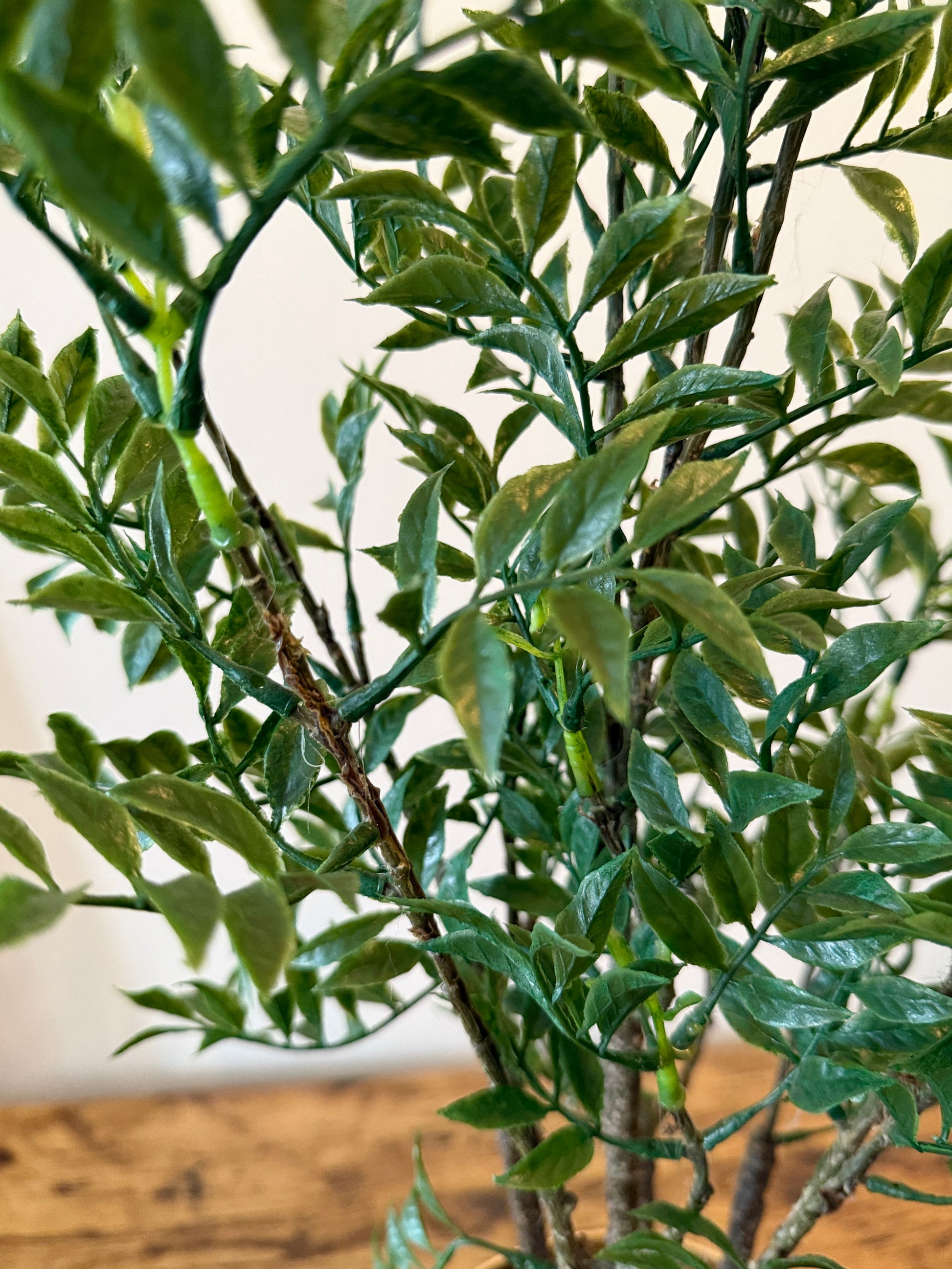 Close up of the Plantish artificial Nandina Ficus Bonsai’s intricate leaves, showing the fine details and lifelike texture.