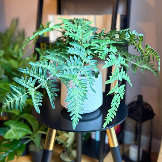 Sunlight hitting the Plantish bushy artificial  evergreen fern, showcasing dense green fronds and a textured white ridged pot, on a black table in front of a bookcase. 