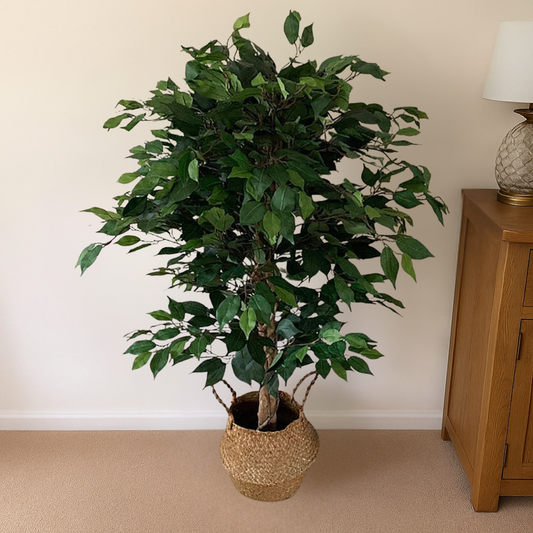 The Plantish artificial ficus tree shown placed inside a woven basket that is placed inside a bright living room and a wood cabinet beside it