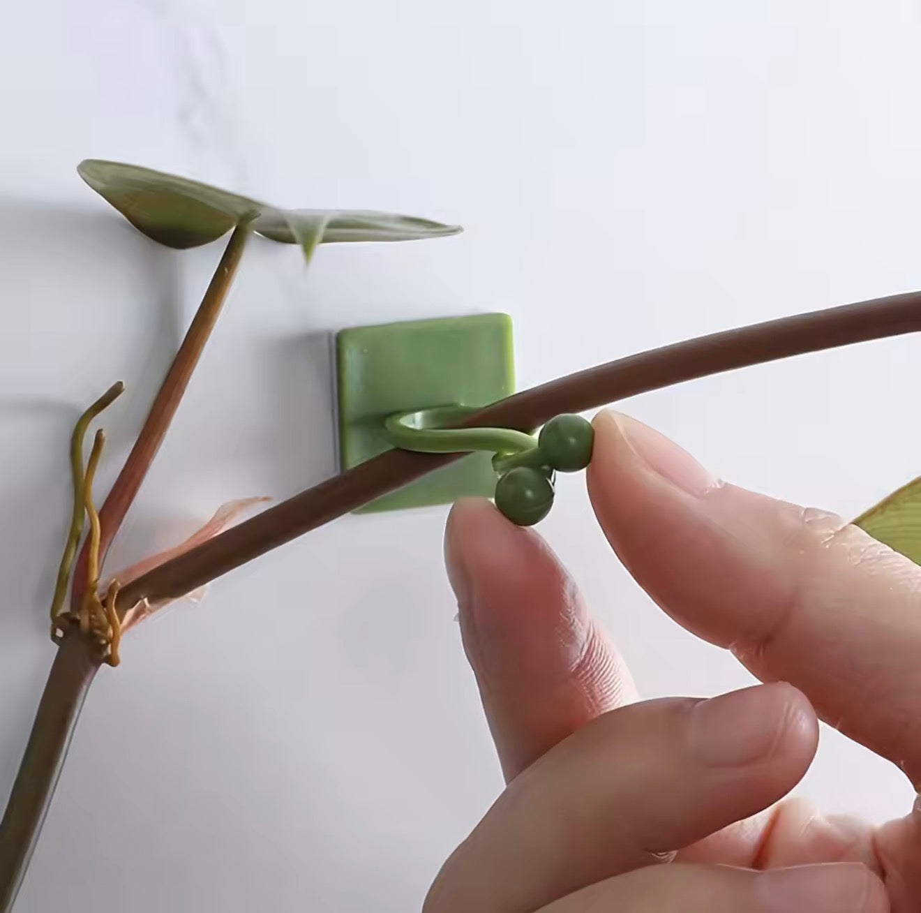Climbing Plant Wall Clips