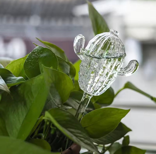 Cactus Plant Watering Bulb