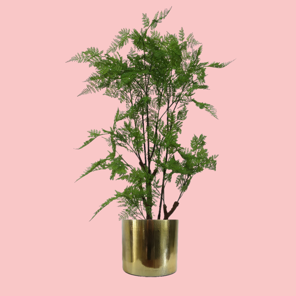 Side view of the Plantish Gold Etched Metal Pot, showing the geometric pattern on the sides and a fern inside it. The pot is on a block pink background. 