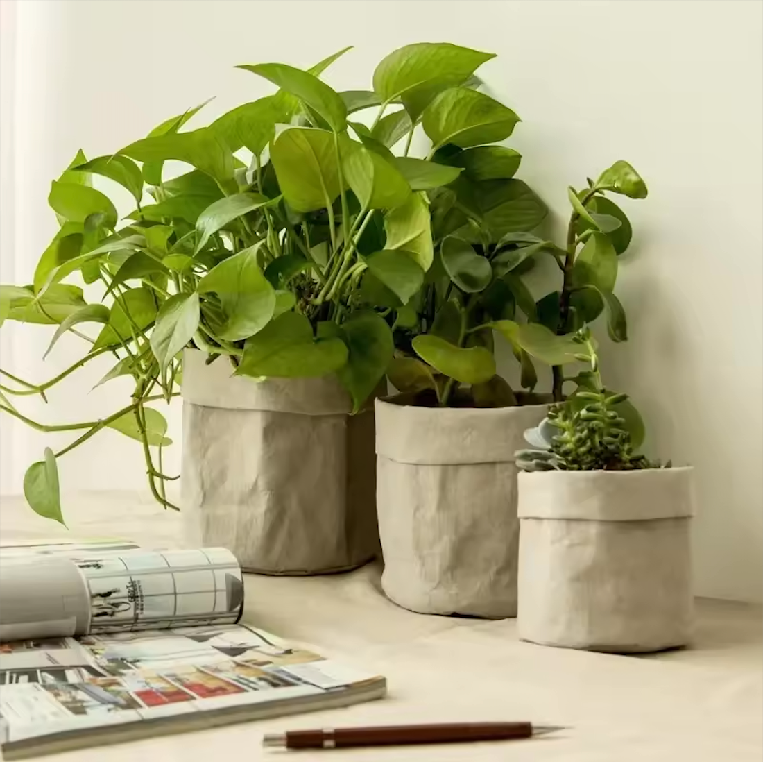 The full Plantish Grey Kraft Paper Plant Pot collection on a white surface. There are green plants, including devil's ivy, in the pots. Next to the pots is a magazine and mechanical pencil.