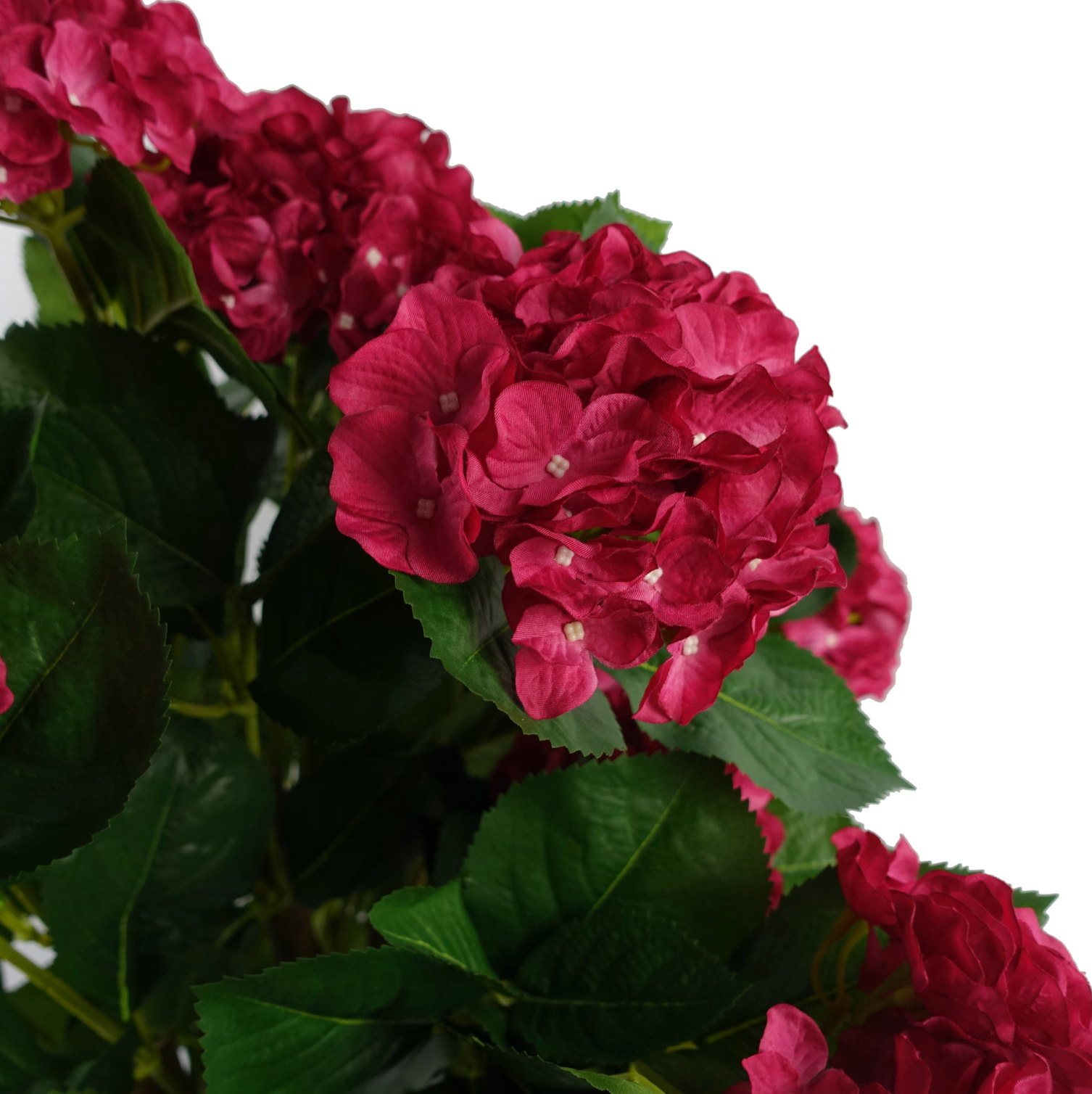 A close up of the Plantish Artificial Hydrangea in Pink, showing the silk flowers and dark green leaves in a high level of detail. 