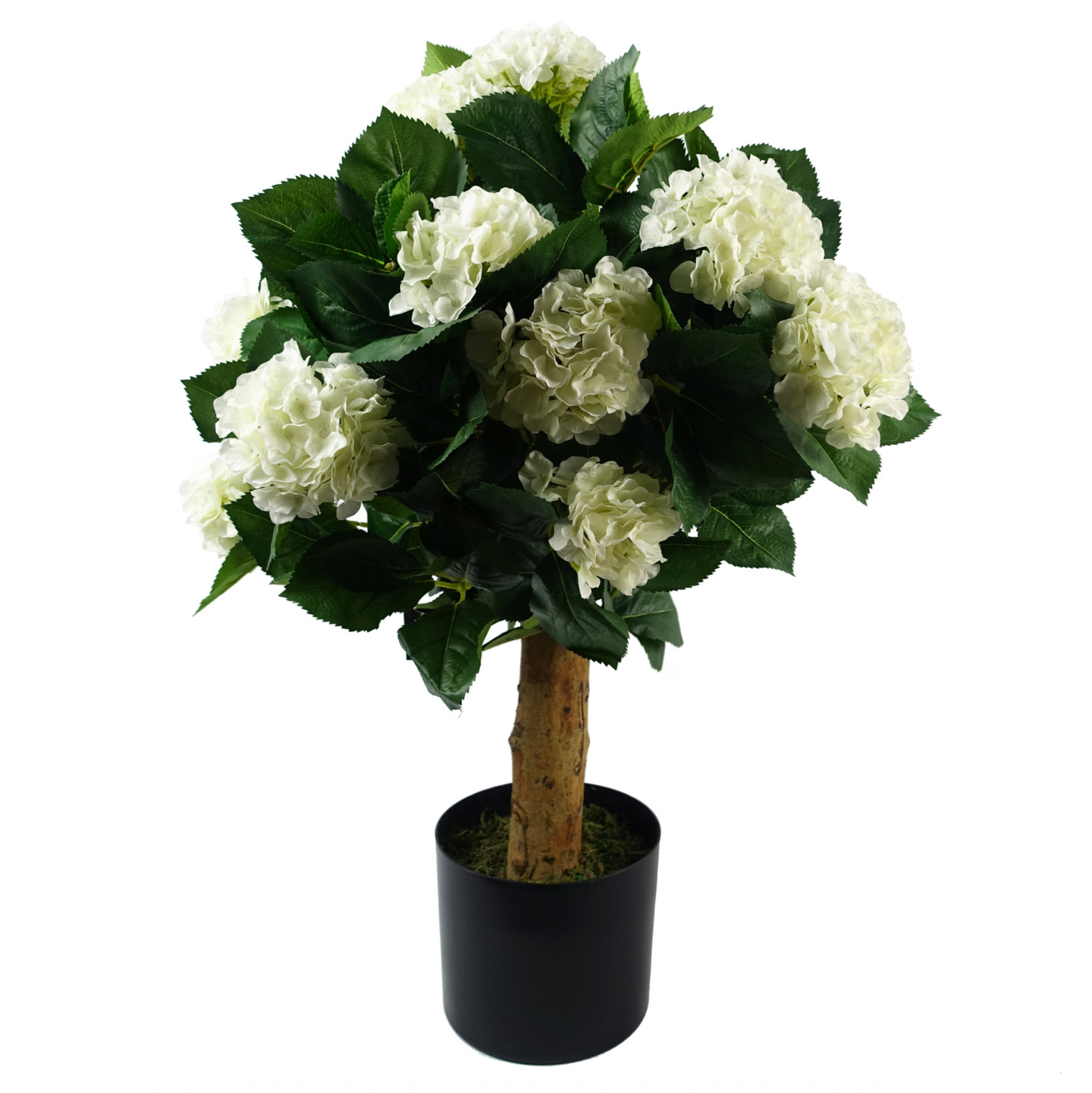 A view of the Plantish Artificial Hydrangea in White, showing the detailed silk flowers, dark green leaves, and real wood trunk against a white background. 