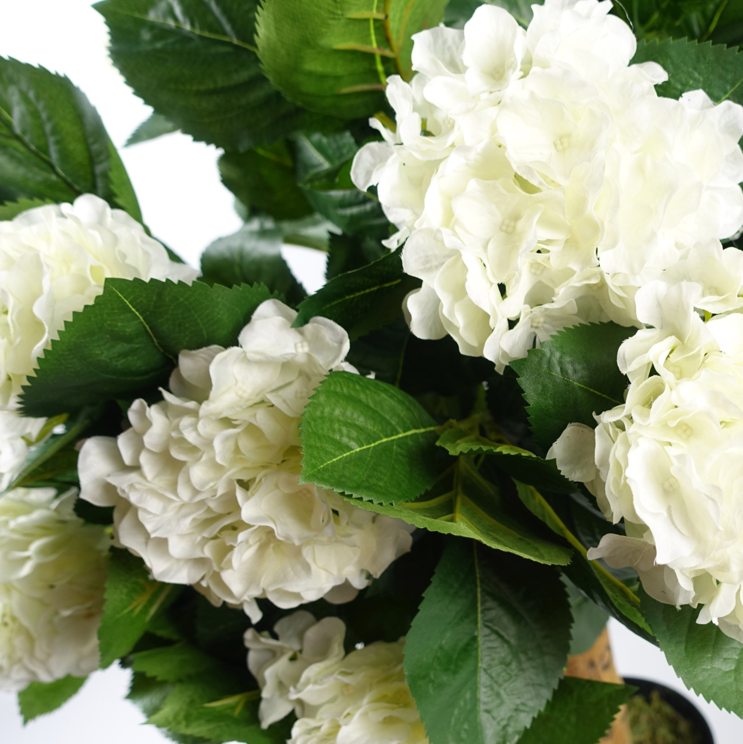 A close up of the Plantish Artificial Hydrangea in White, showing the silk flowers and dark green leaves in a high level of detail. 