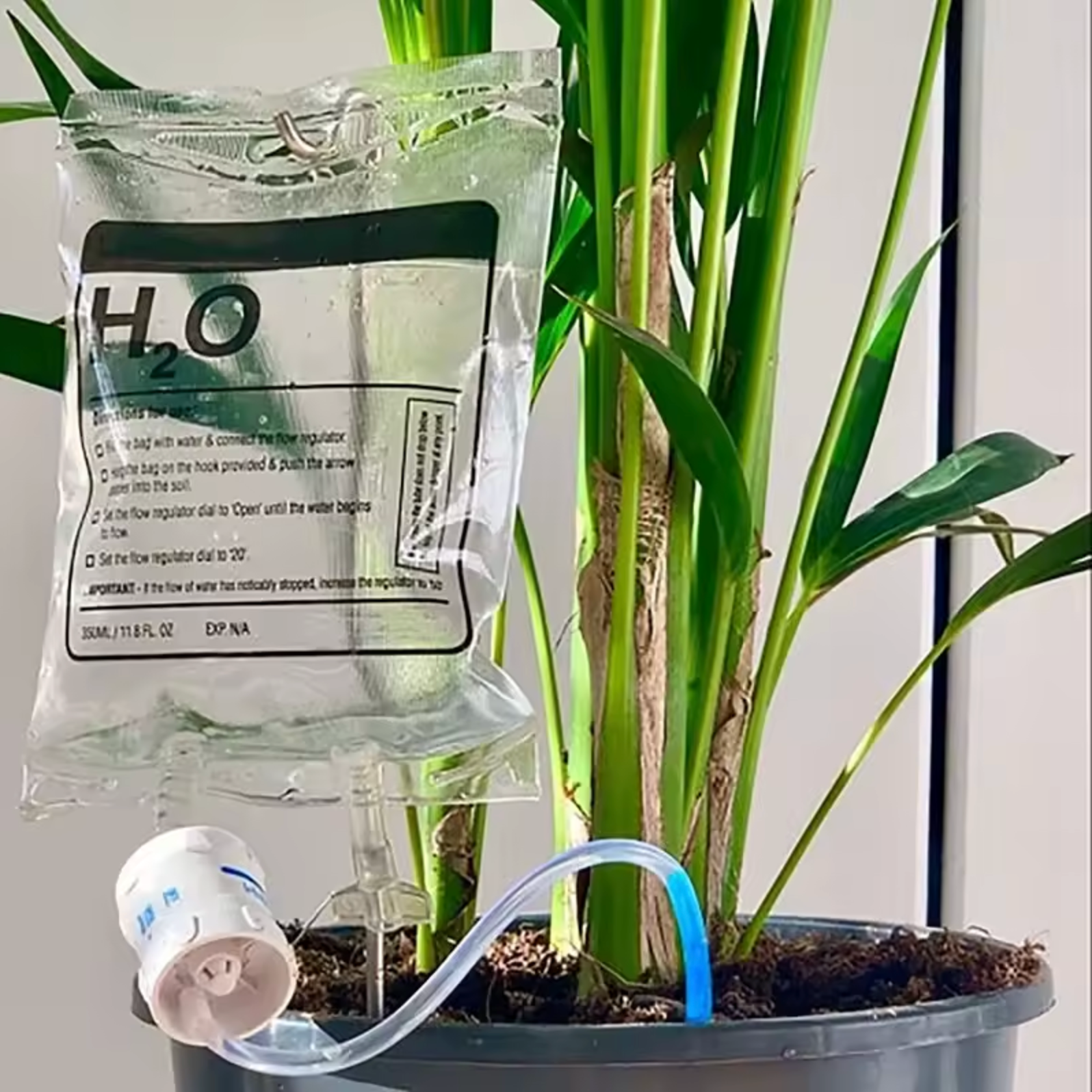 The Plantish IV Self Watering Plant Life Support Bag shown in a sunlit room and placed in a black plastic plant pot and watering a leafy green plant.
