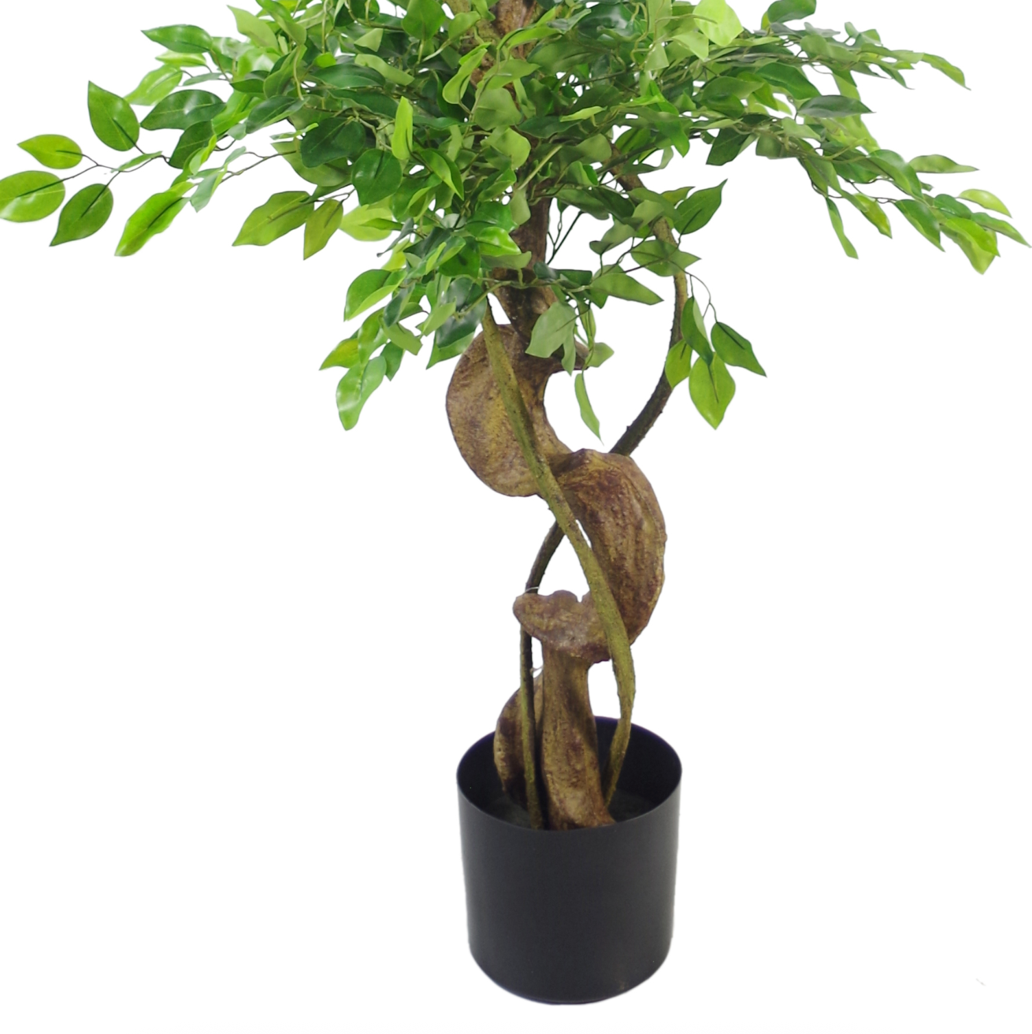 The Plantish artificial Japanese ficus tree, showing the twisted realistic trunk, the dense green leaves and plain black pot against a white background.