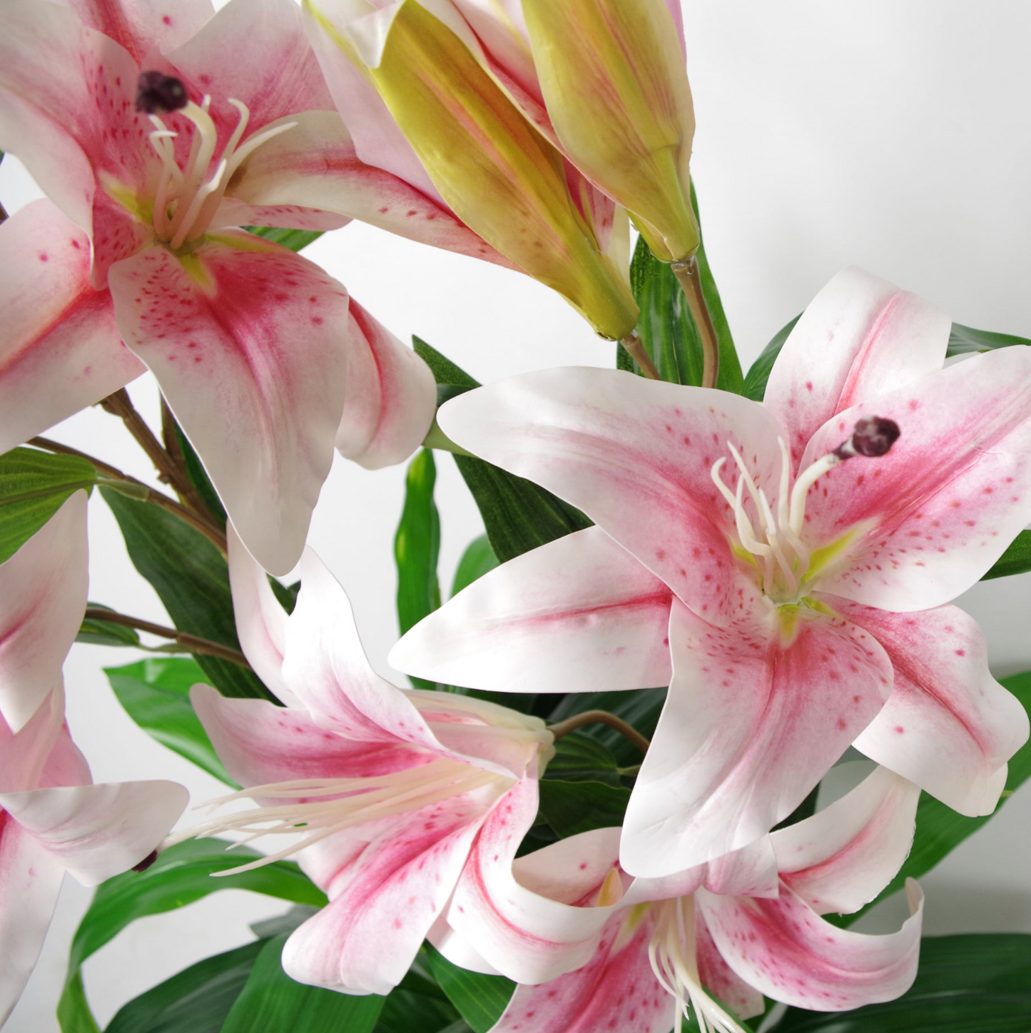 Lara the Artificial Lily