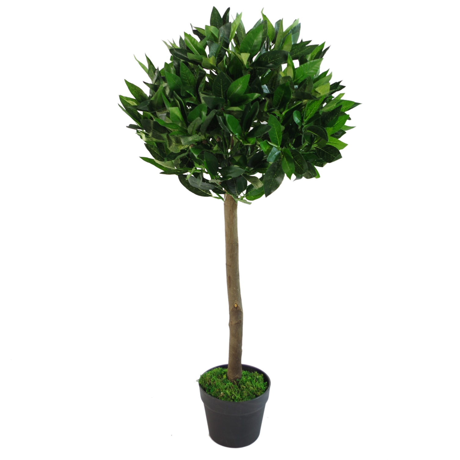 The Plantish artificial laurel ball tree shown against a plain white background, highlighting the green leaves, straight trunk, and black plastic pot.