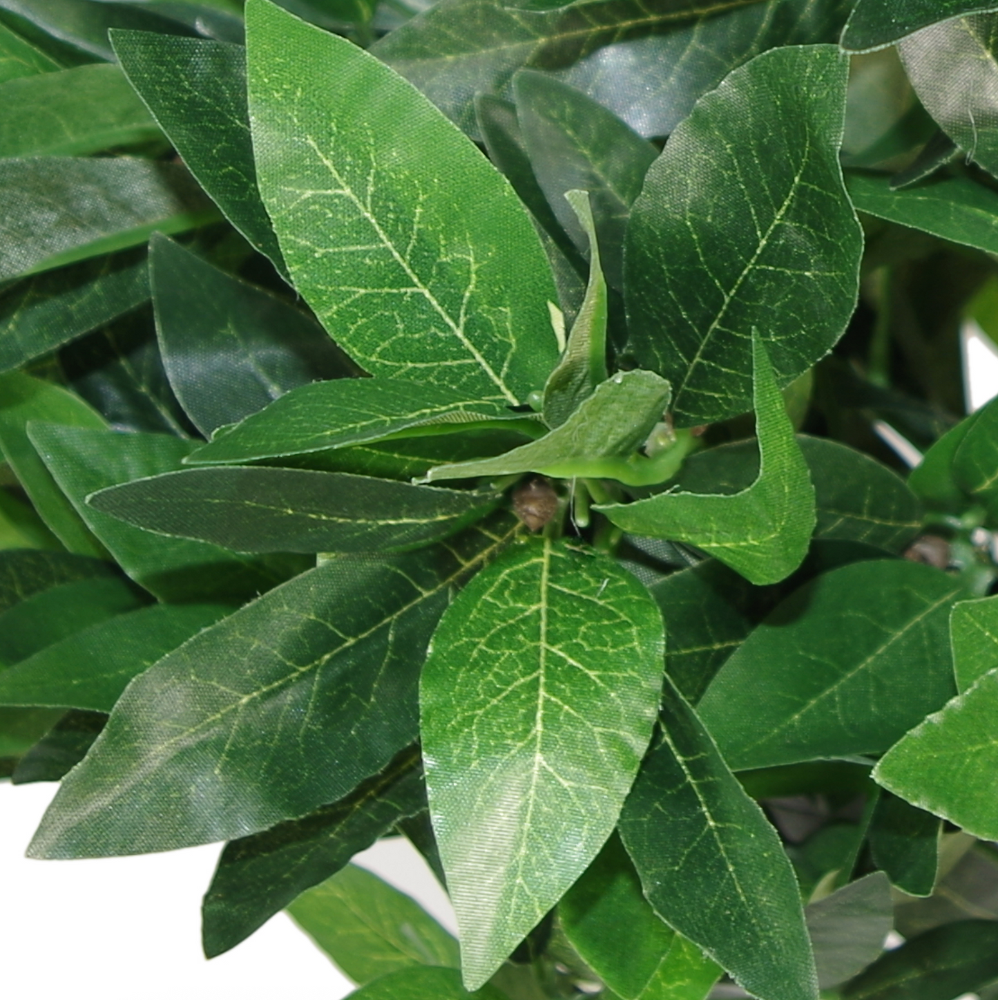 A close up of the leaves on the Plantish artificial laurel ball tree, highlighting the details on the leaves and the various shades of green. 