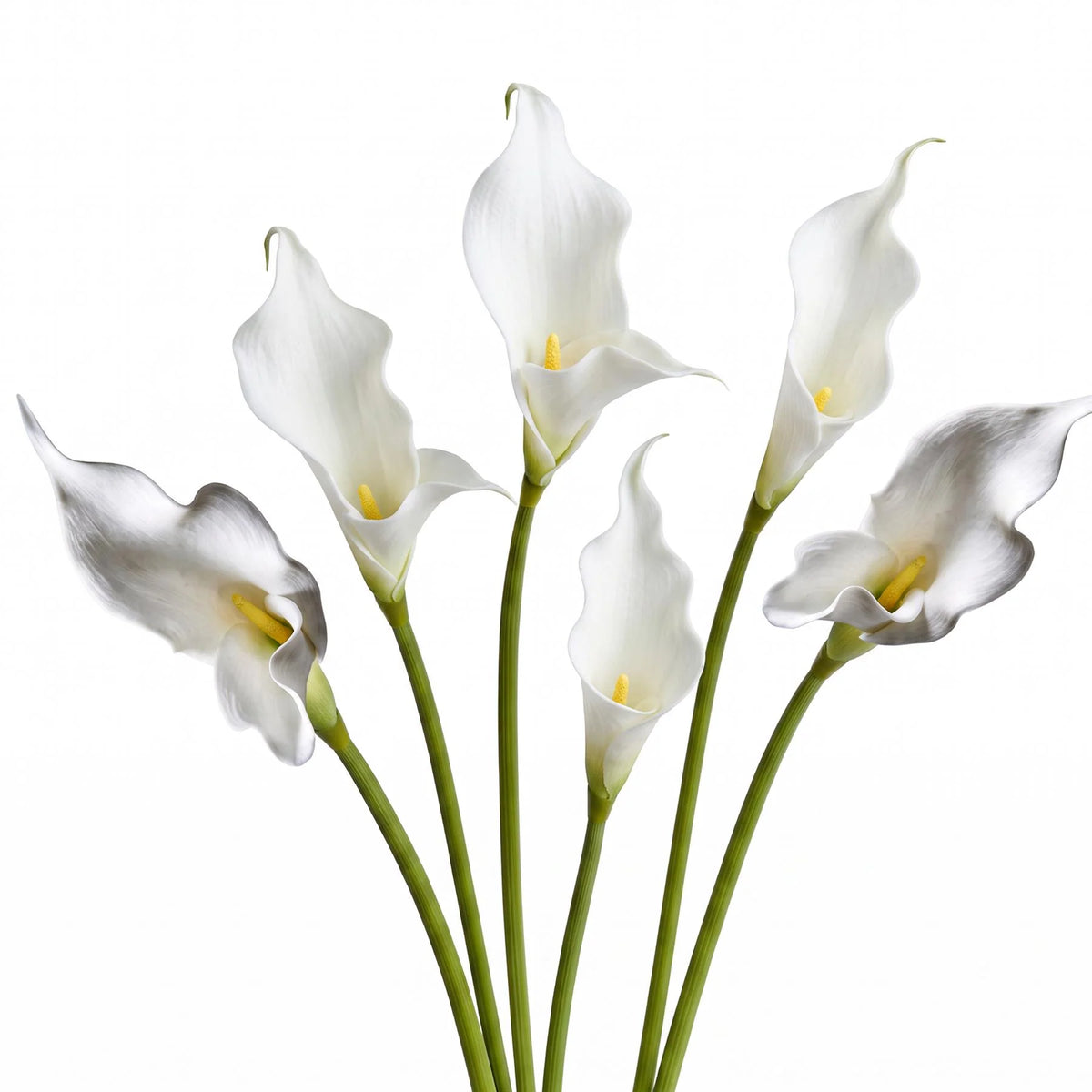 Lou the Artificial Calla Lily Stems