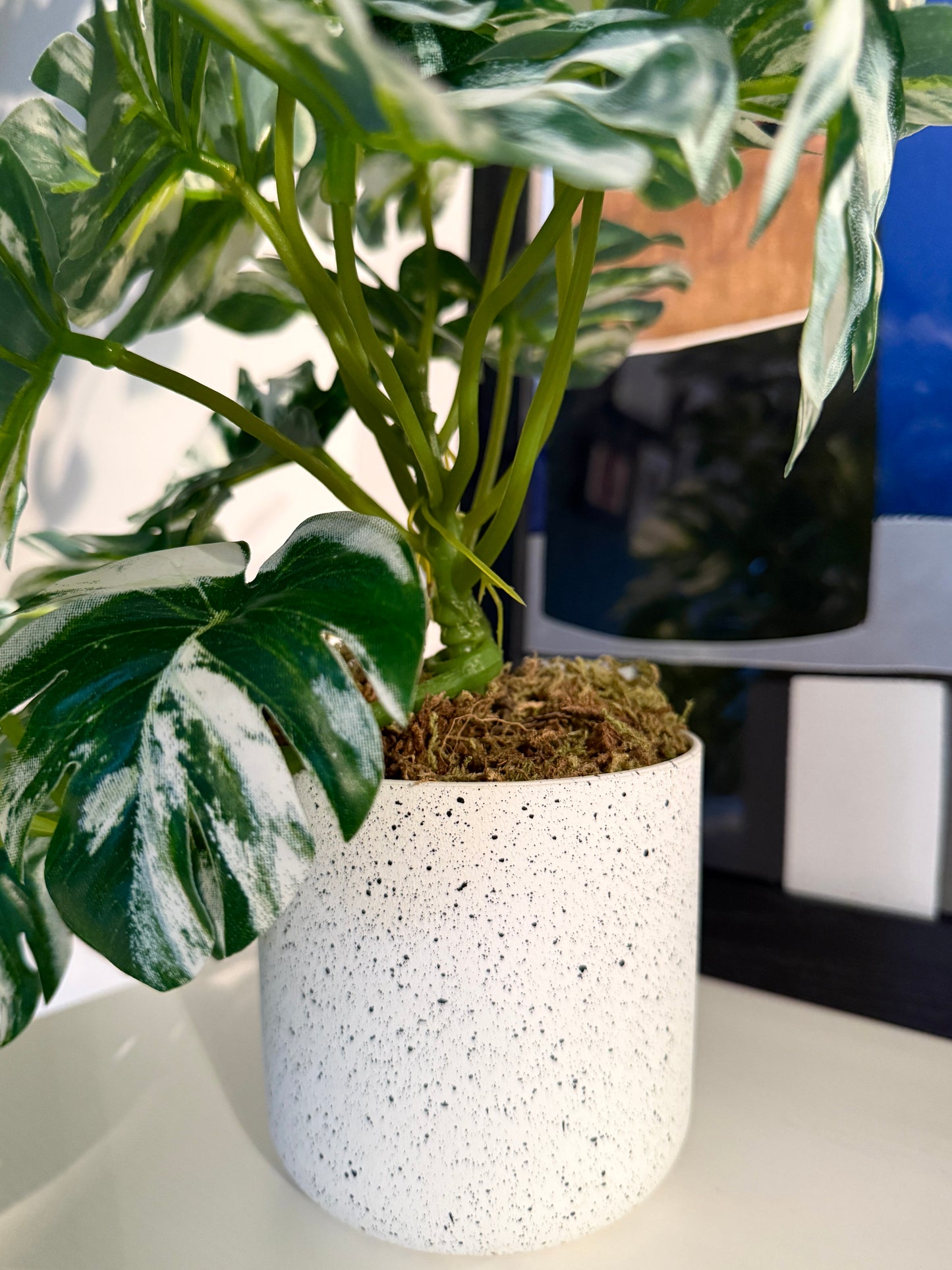 Close-up of the Plantish artificial variegated Little Monstera, focusing on the decorative plastic pot, the base of the plant, and the detailed stems with natural variegation.