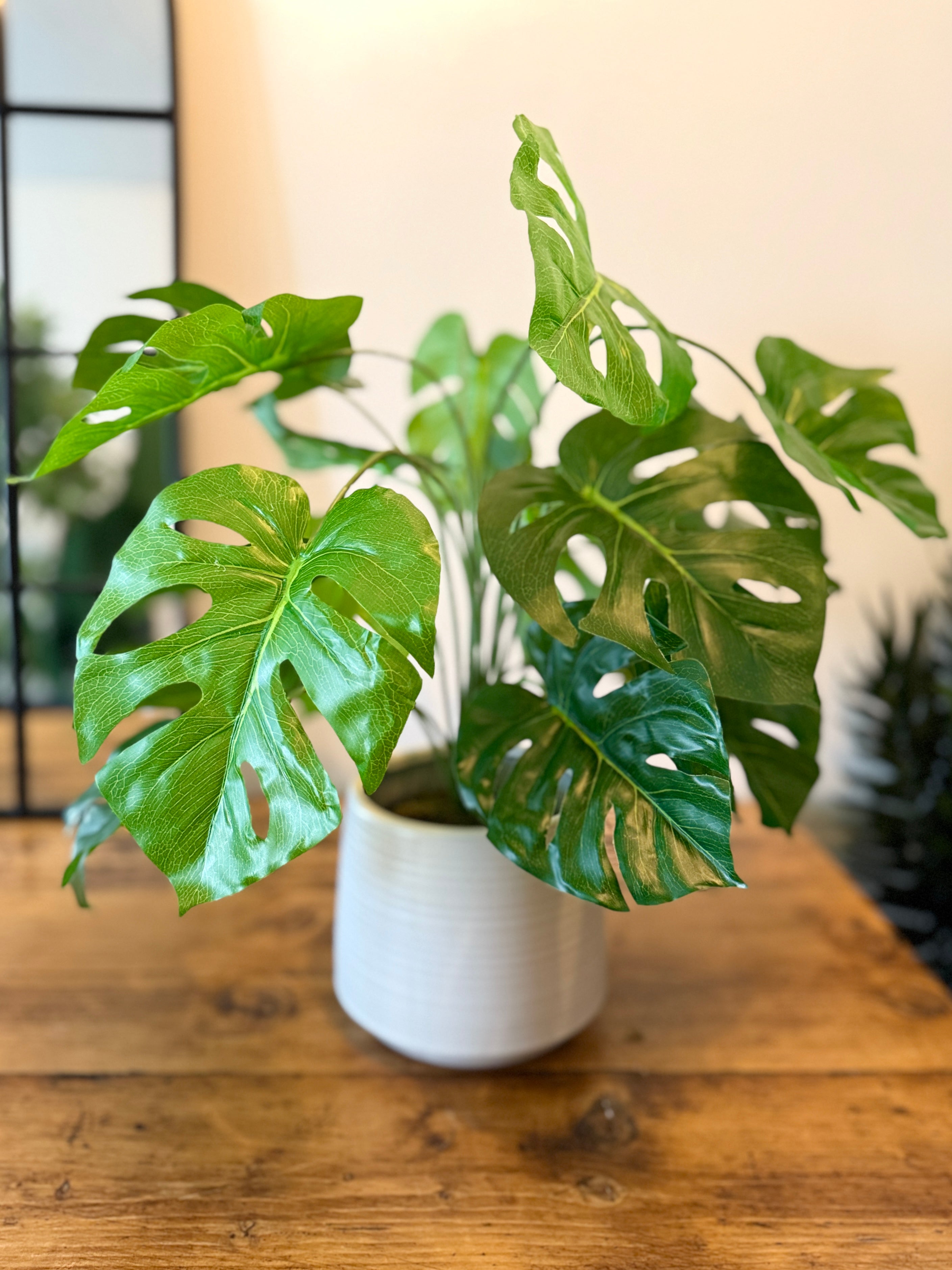 Front view of a medium size Plantish artificial Monstera with split green leaves, in a white ceramic pot.