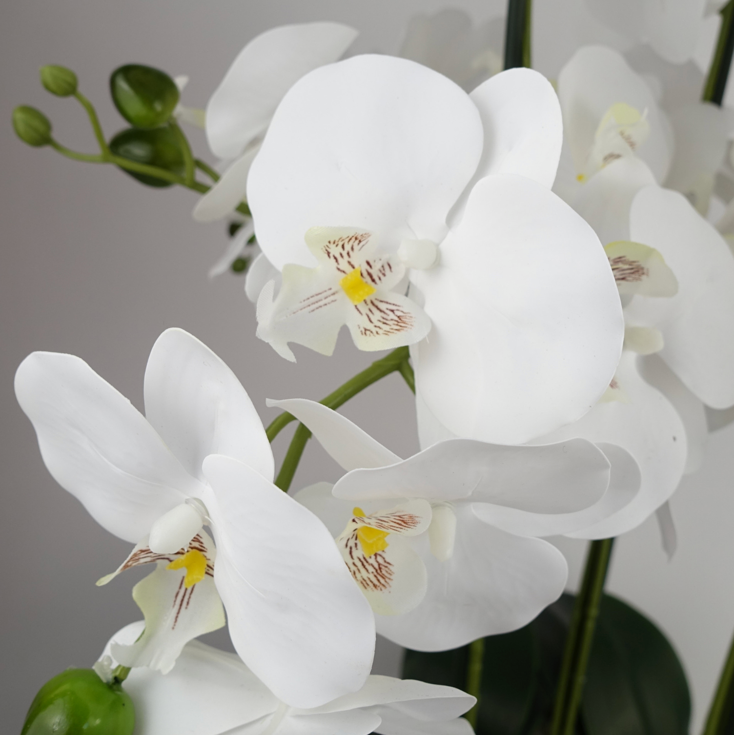 A close up of the Plantish Artificial Orchid showing the intricate white flowers, green stems and buds in detail, against a white wall. 