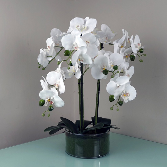 An image of the Plantish Artificial Orchid showcasing the white flowers, green stems, and glass planter and set on a glass table with a white background. 