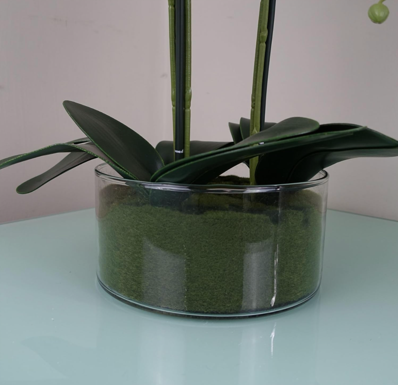 A close up of the Plantish Artificial Orchid highlighting the glass pot, mossy lining and the lower the green stems and leaves with a white background.