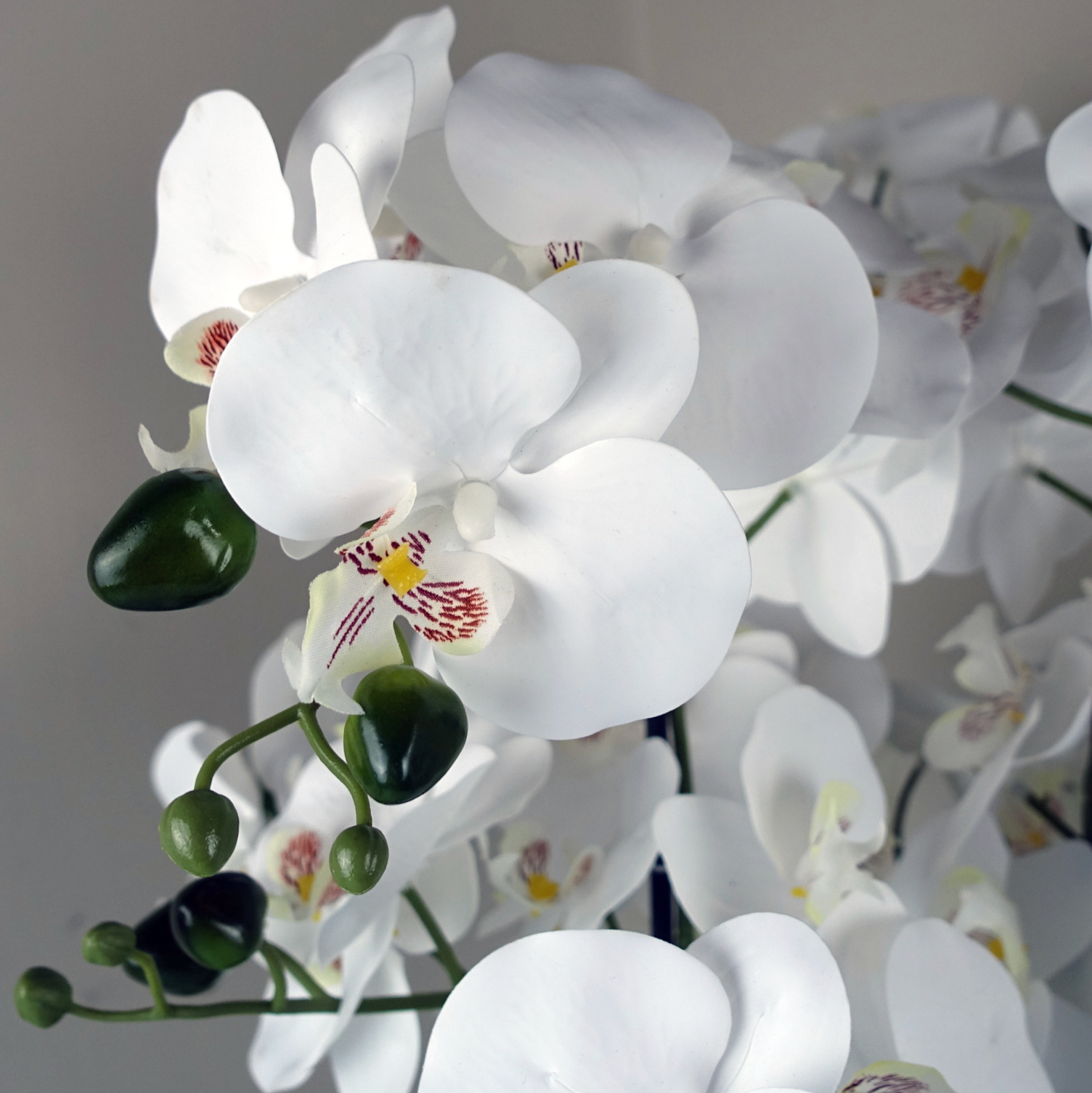 A close up of the Plantish Artificial Orchid showing a single white flower in high detail, as well as its buds, against a white background. 