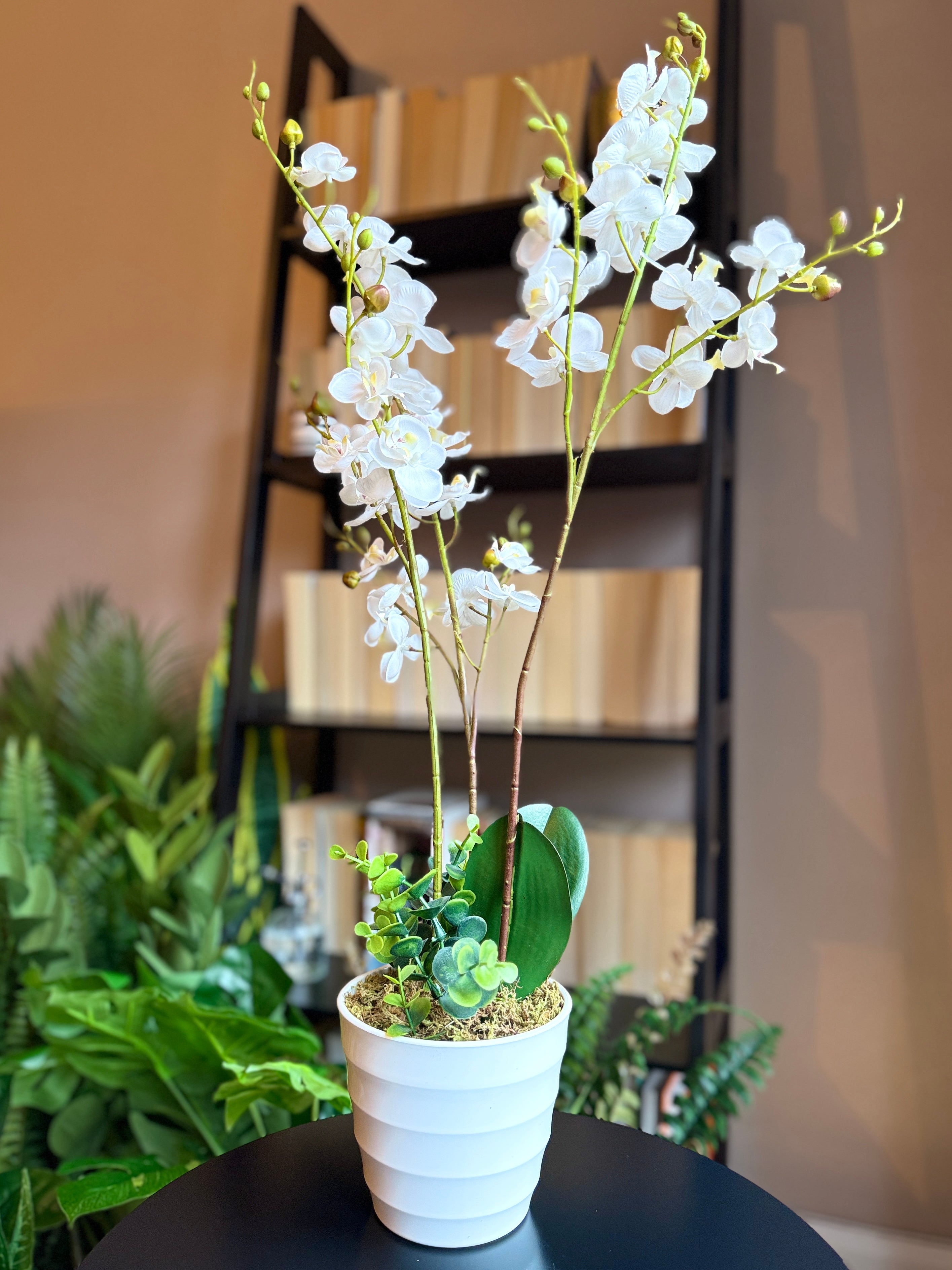 Sunny view of the Plantish artificial Moth Orchid, featuring delicate white blooms, long green stems, and lifelike leaves, in a decorative white ribbed ceramic pot.