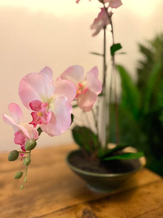 Close up of the Plantish artificial Orchid’s pink flowers and green stems. 