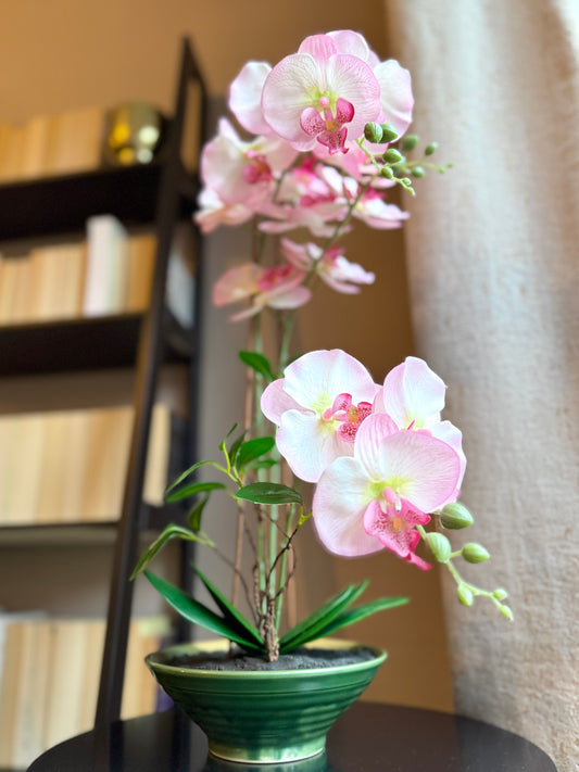 Front view of the Plantish artificial Orchid with vibrant pink flowers and green stems, potted in a shallow ceramic pot.