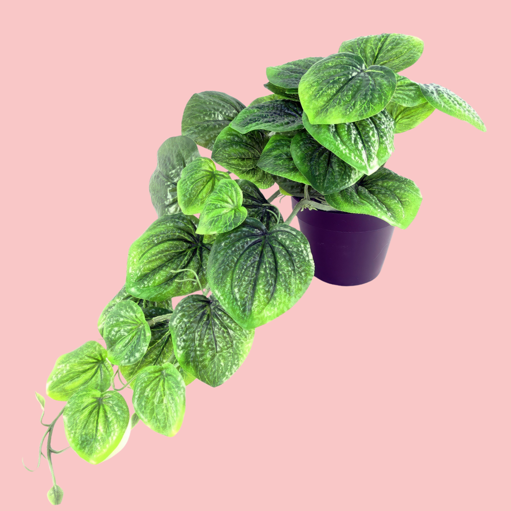Front view of the Plantish artificial Green Pothos with lush light and dark green leaves and cascading vines. Shown in a plain pot and on a block pink background.