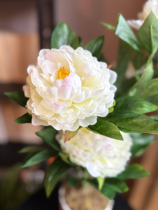 Close up of the Plantish artificial White Peony with delicate detailed white petals and green leaves.