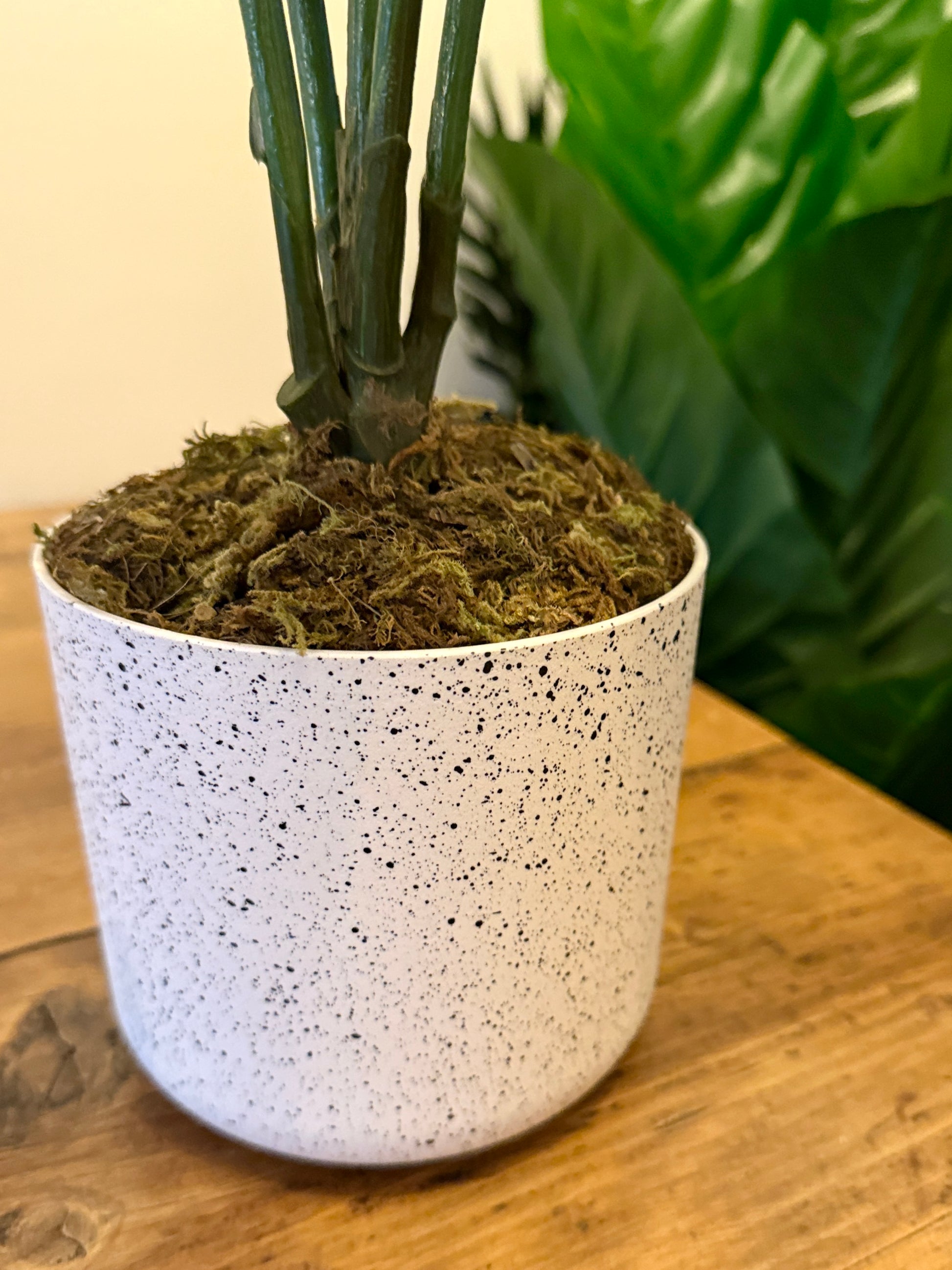 Close up of the base of the Plantish artificial White Peony’s stem, topped with moss in a white decorative plastic pot.