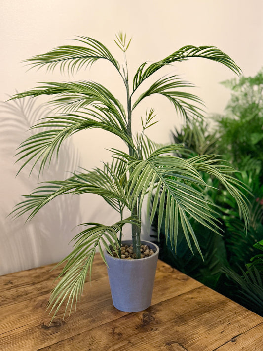 Front view of a Plantish artificial medium-sized palm with light green fronds, potted in a grey ceramic-look plastic pot with large fixed pebbles at the base.