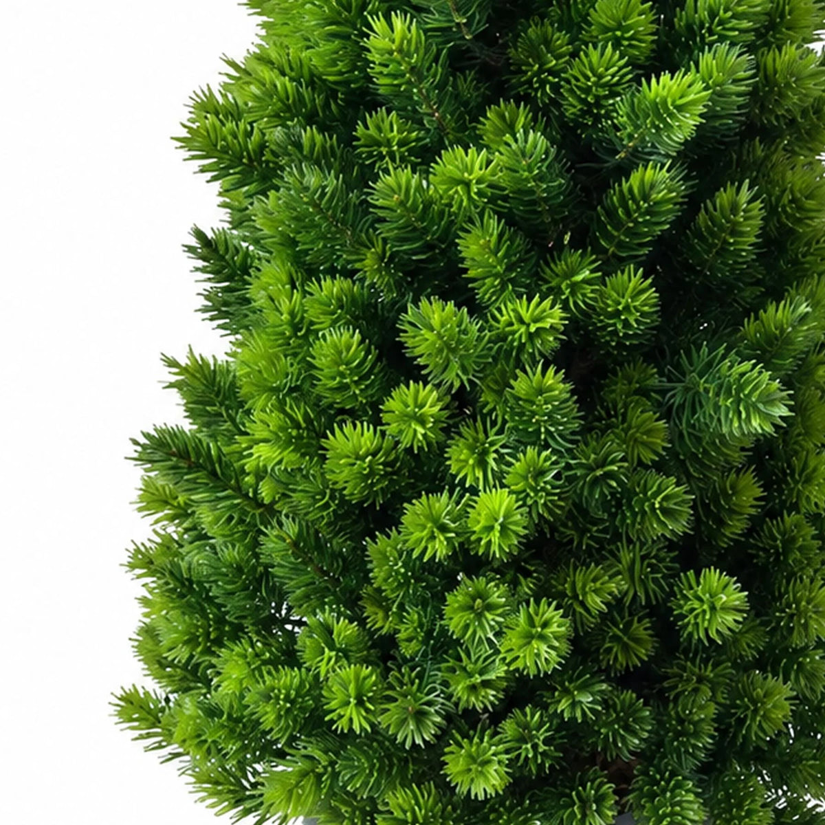 Peter the Artificial Mini Pine Tree